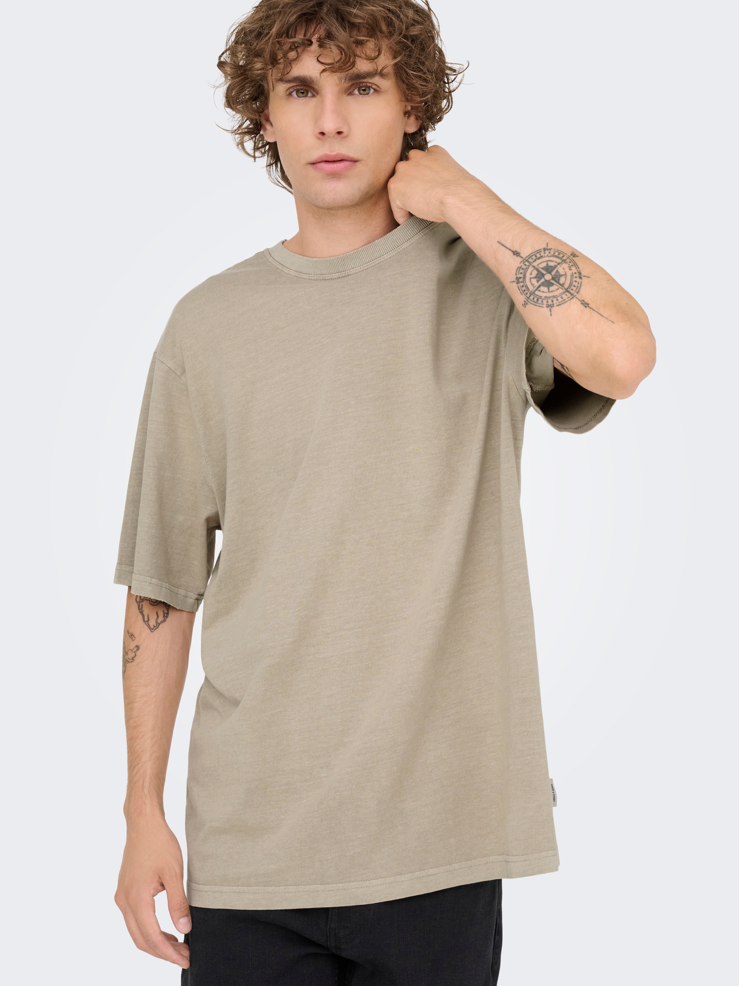 ONLY & SONS Rundhalsshirt »ONSDISTRESS RLX SS TEE«