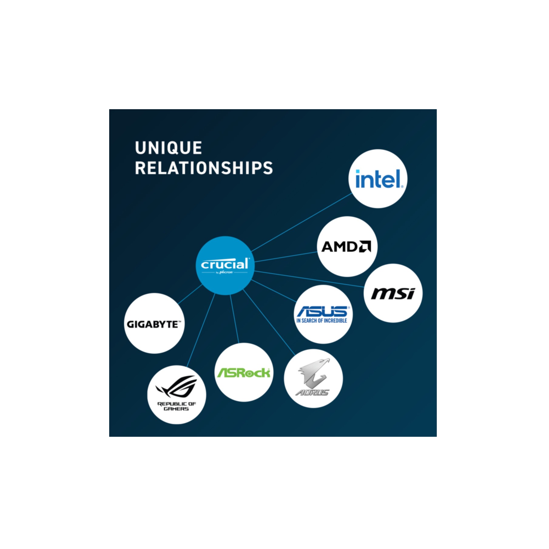 Crucial Arbeitsspeicher »CT16G56C46U5«