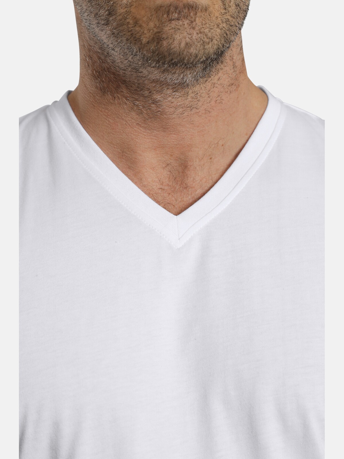 Charles Colby V-Shirt »Doppelpack T-Shirt EARL MILLS«
