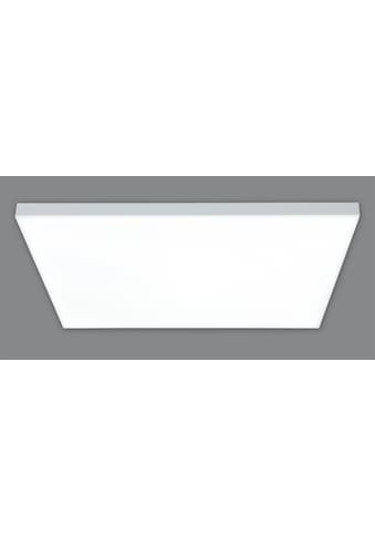 näve LED Panel »Carente«, 1 flammig-flammig, CCT, Nachlichtfunktion, dimmbar, incl.... kaufen