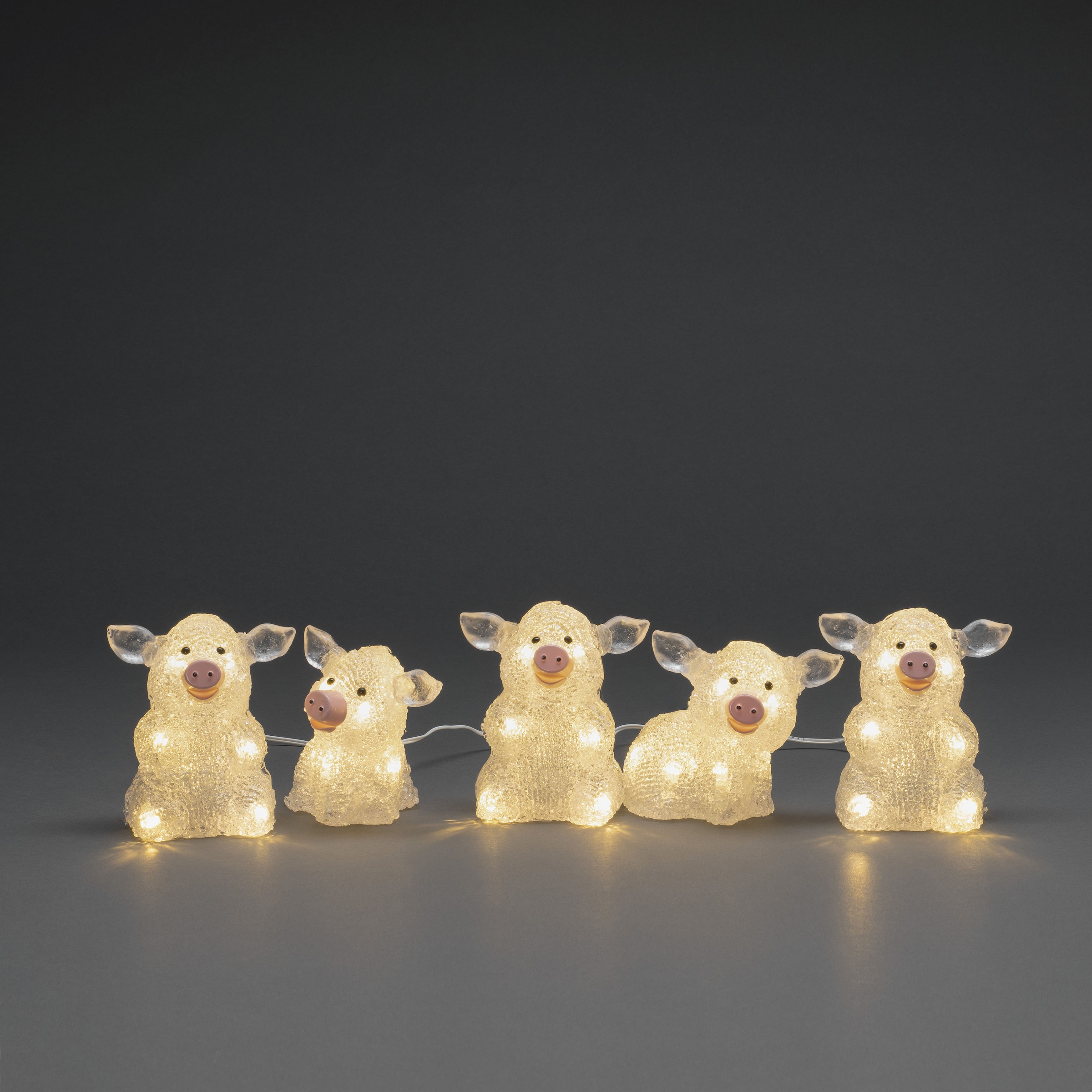 KONSTSMIDE LED-Lichterkette »Schwein«, 40 St.-flammig, LED Acryl Schweine  5-er Set, transparent, 40 warm weiße Dioden auf Rechnung kaufen