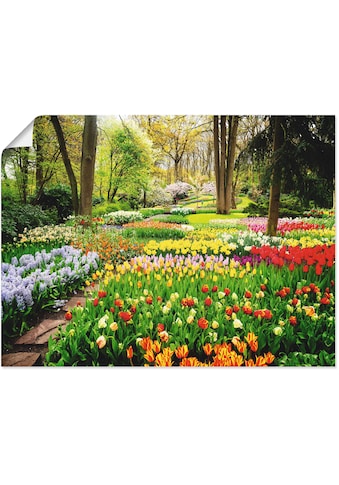 Wandbild »Tulpen Garten Frühling«, Blumenwiese, (1 St.)
