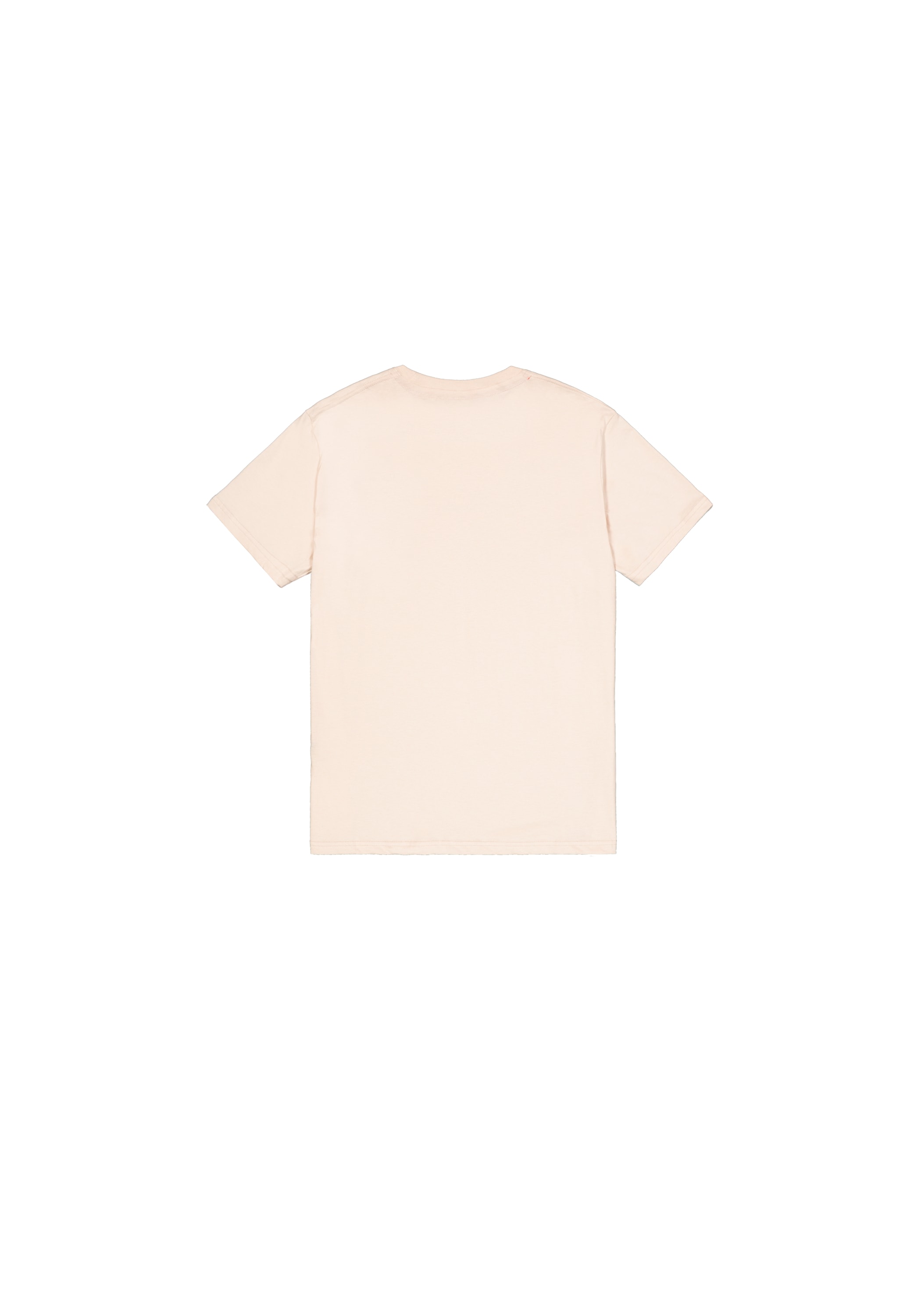 Alpha Industries T-Shirt »Alpha Puff Print T-Shirt«