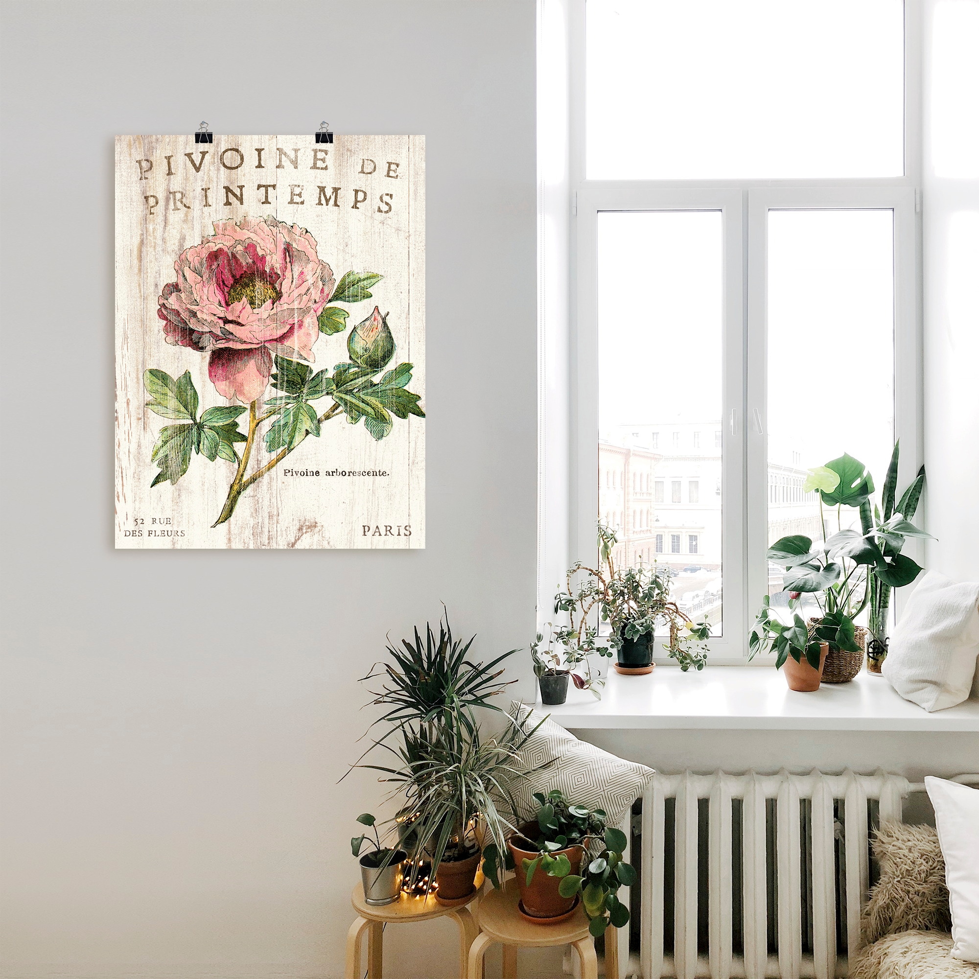 Artland Wandbild »Pfingstrose« 1 Stk. tlg. als Leinwandbild, Poster, Wandaufkleber in verschied. Größen