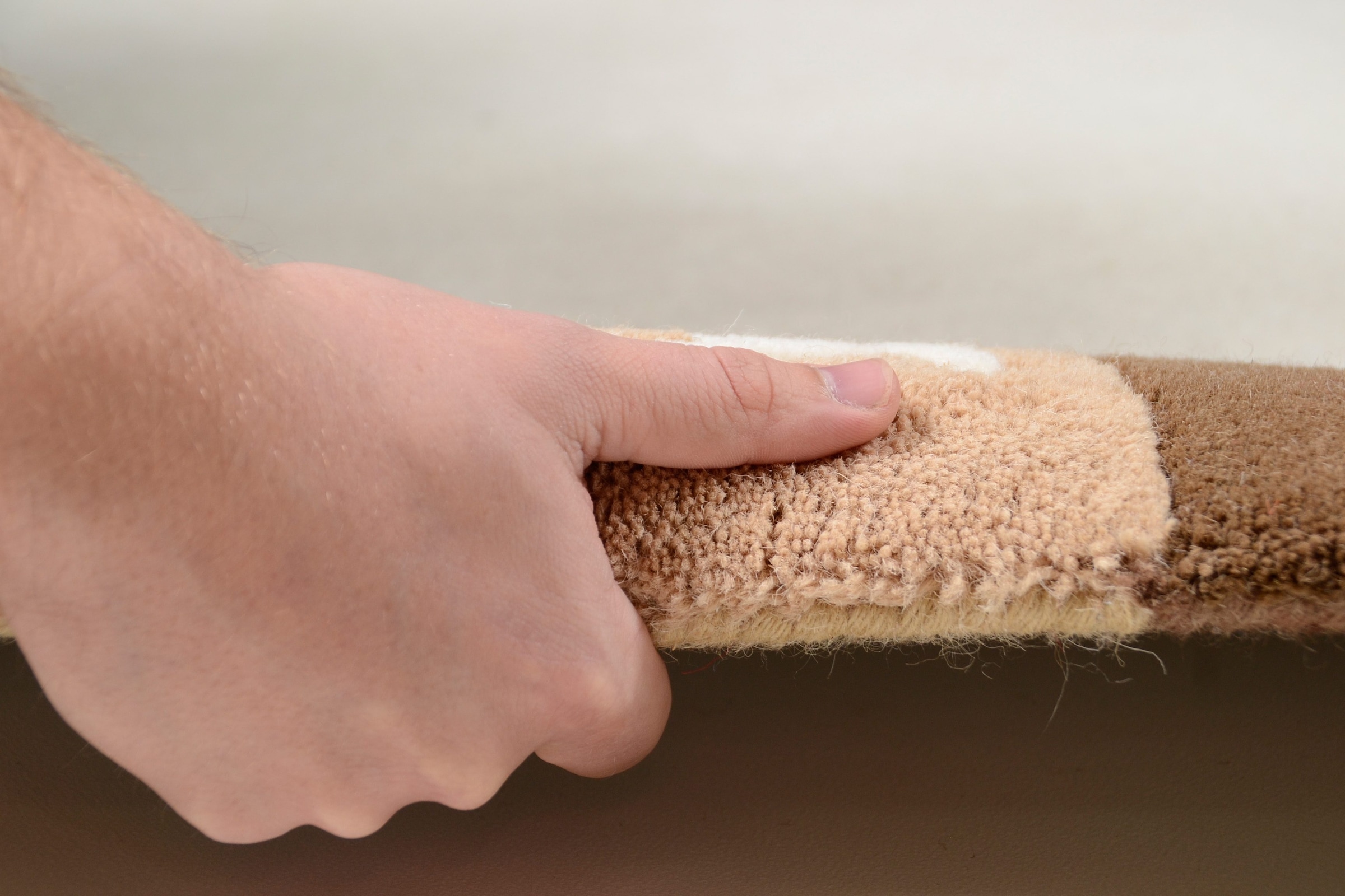 THEKO Wollteppich »Ambadi« achteckig 14 mm Höhe reine Schurwolle, handgetuftet, mit Bordüre, modern