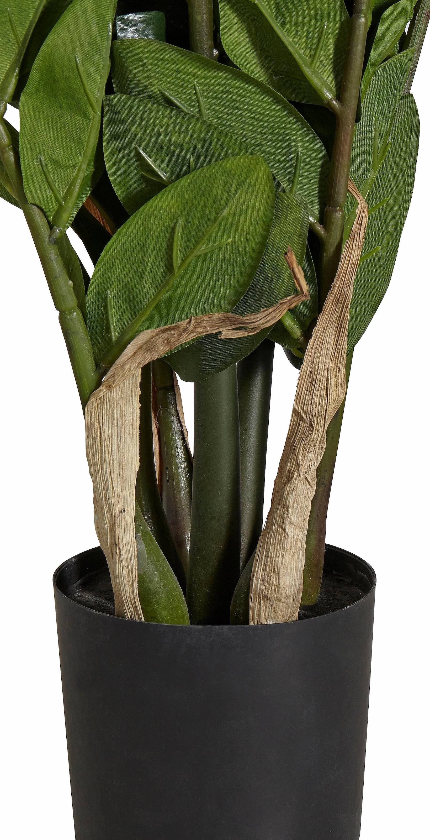 begrenzte Zeit verfügbar Creativ green Kunstpflanze »Zamifolia« kaufen XXL | Garantie Jahren 3 online mit