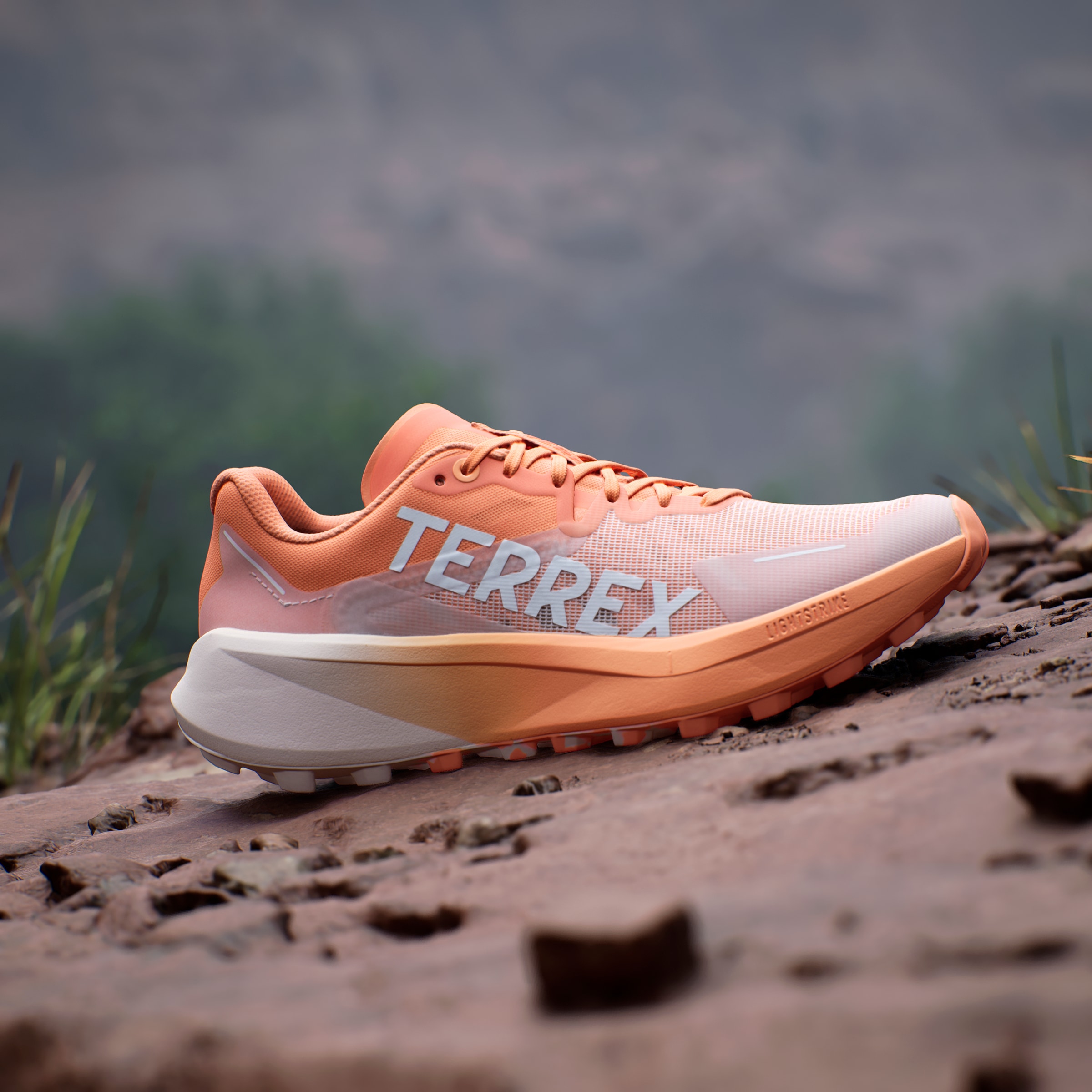 adidas TERREX Trailrunningschuh »TERREX AGRAVIC 3 TRAILRUNNING«