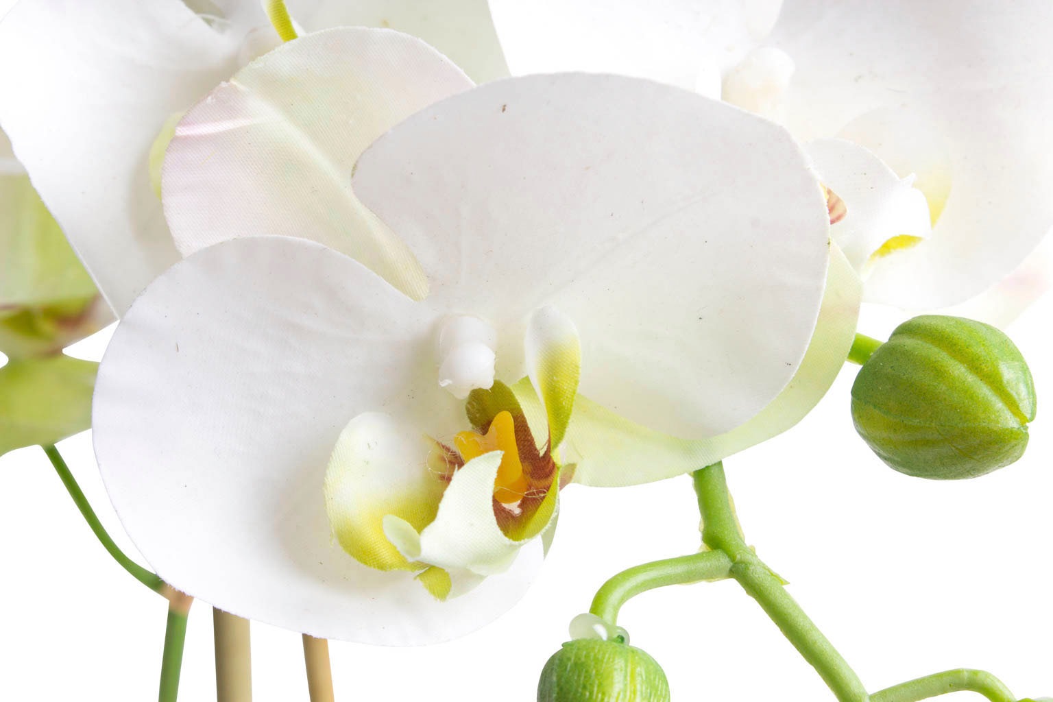 Botanic-Haus Kunstorchidee »Orchidee Bora« auf Raten bestellen | Kunstorchideen