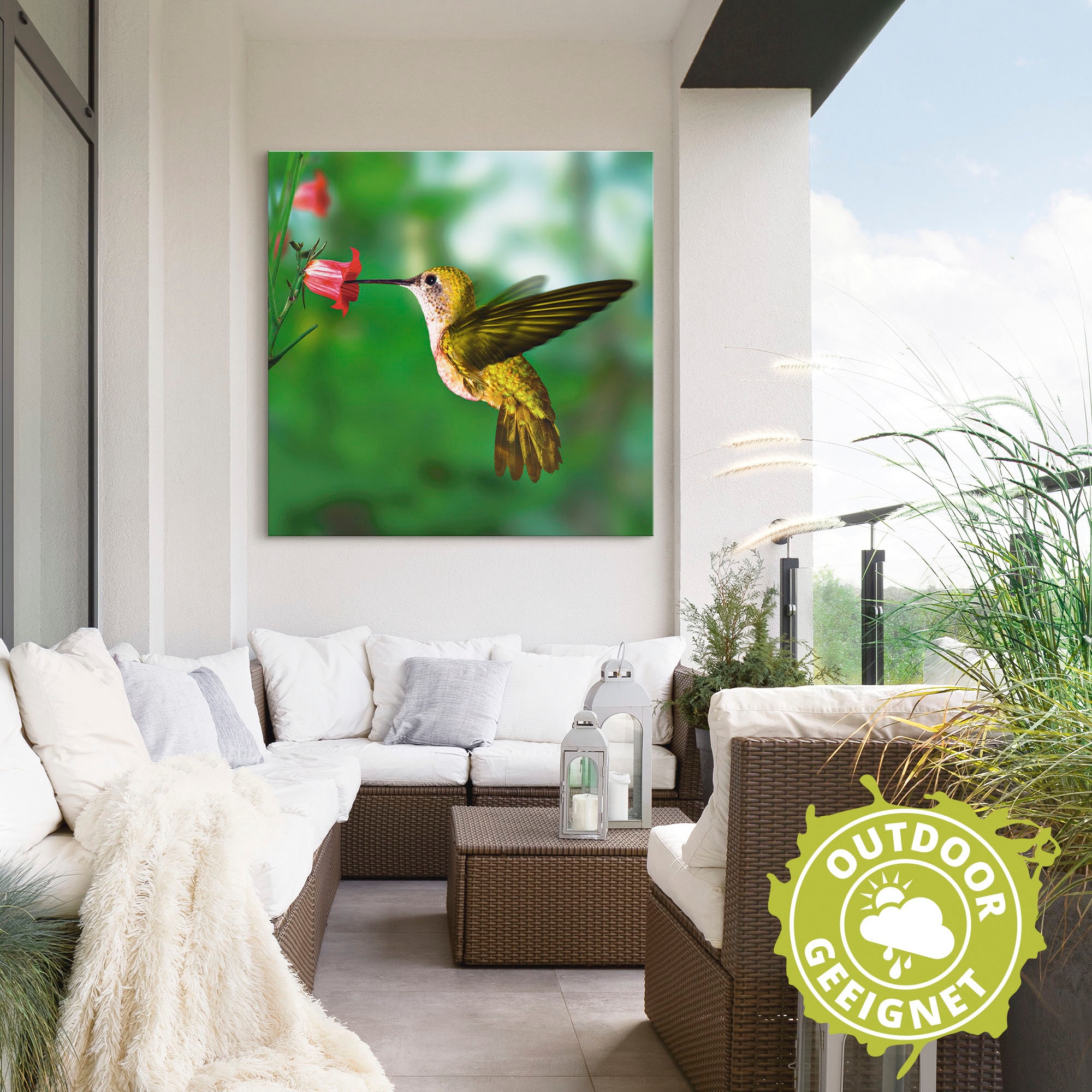 Artland Wandbild »Kolibri«, Vögel, (1 St.), als Alubild, Outdoorbild, Leinwandbild, Poster in verschied. Größen