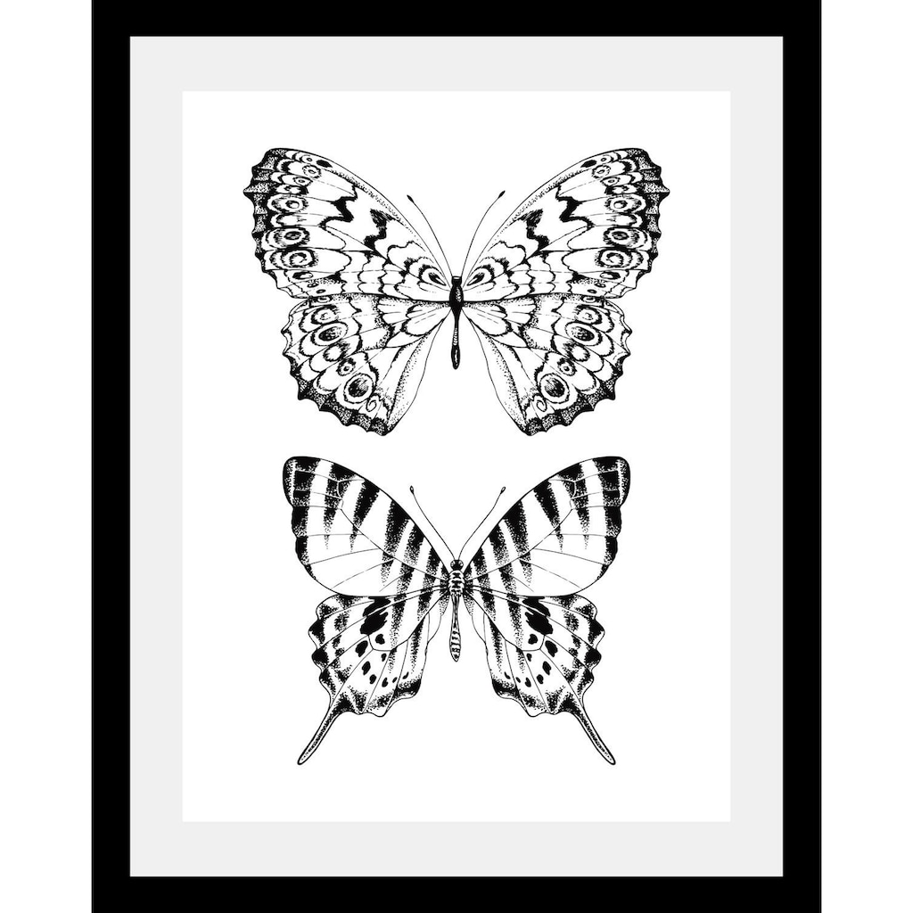 queence Bild »Schmetterlinge«