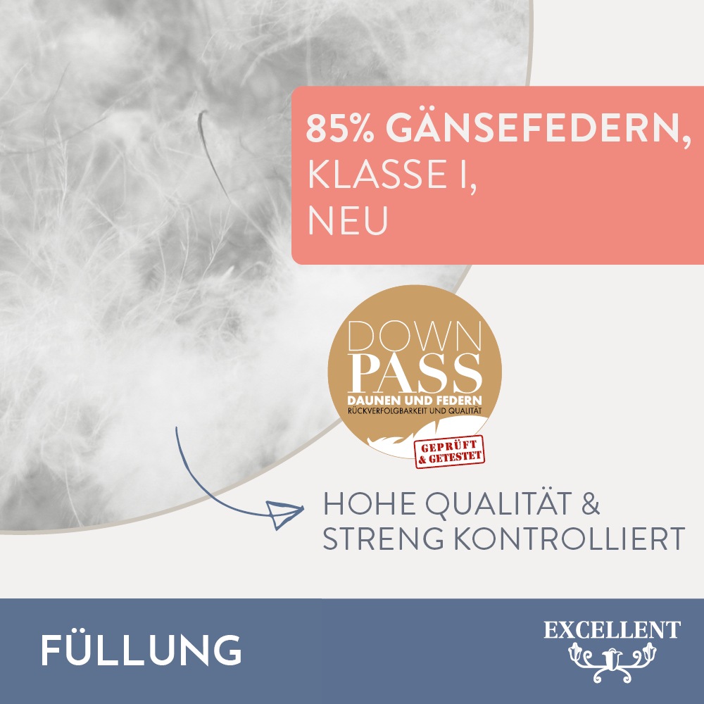 Excellent Federkissen »Davos«, Füllung: 85% Gänsefedern, 15% Gänsedaunen, (1 St.), Kopfkissen in 40x80 und 80x80