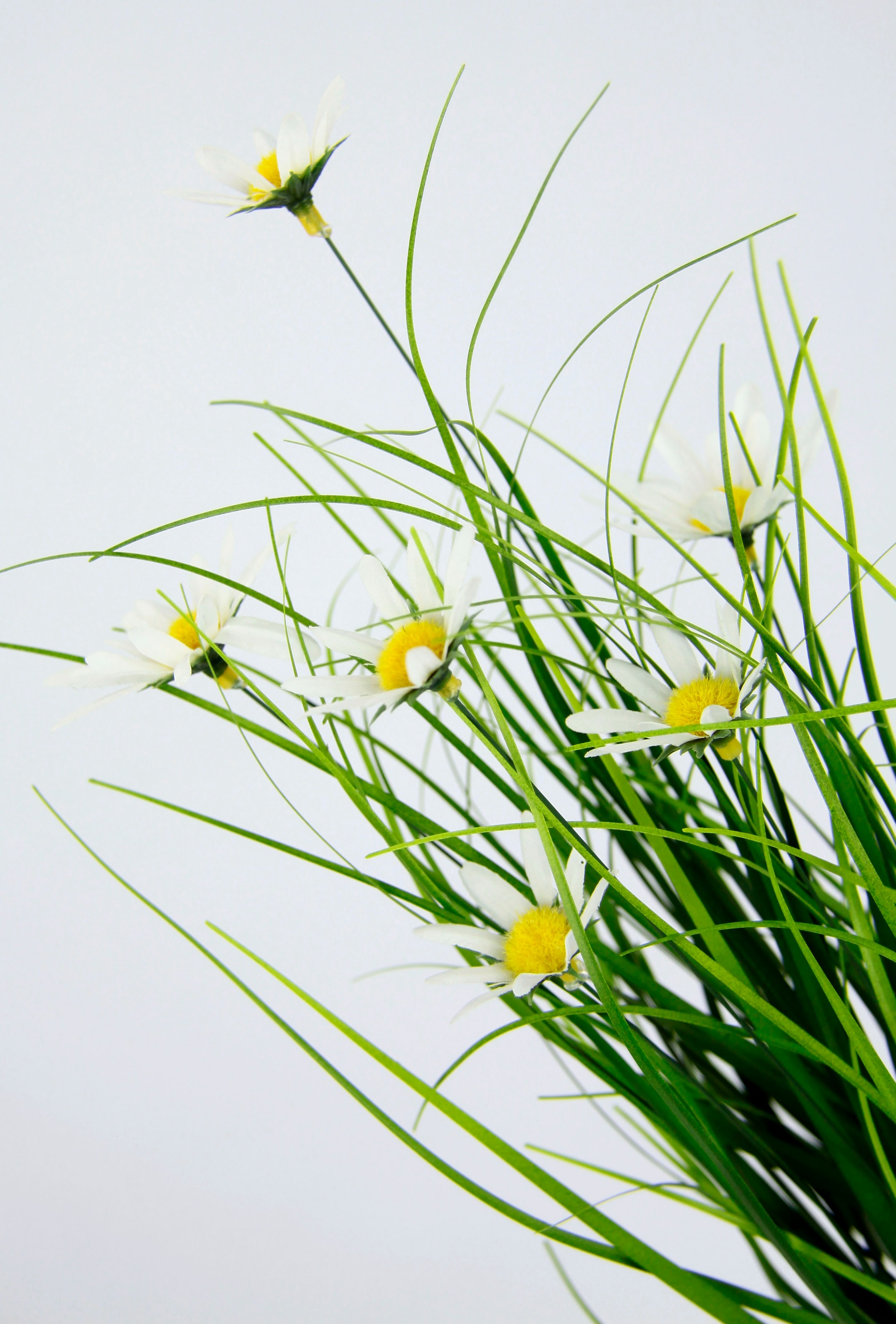 Jutetopf, Margeritenblüten in bequem Kunstgras I.GE.A. kaufen mit 2er und Band, »Gasbusch«, Set