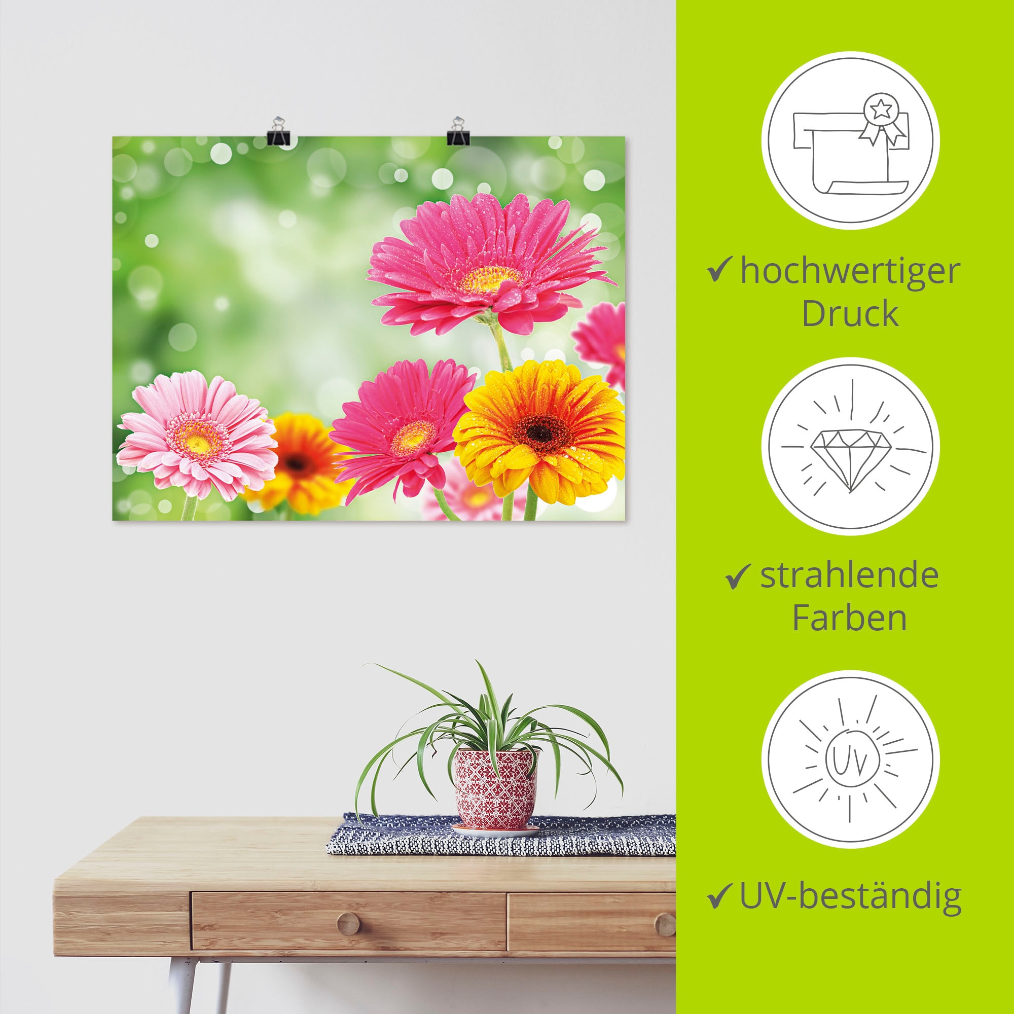 Artland Wandbild »Natürliche Romantik - Gerberas«, Blumen, (1 St.), als Leinwandbild, Poster in verschied. Größen