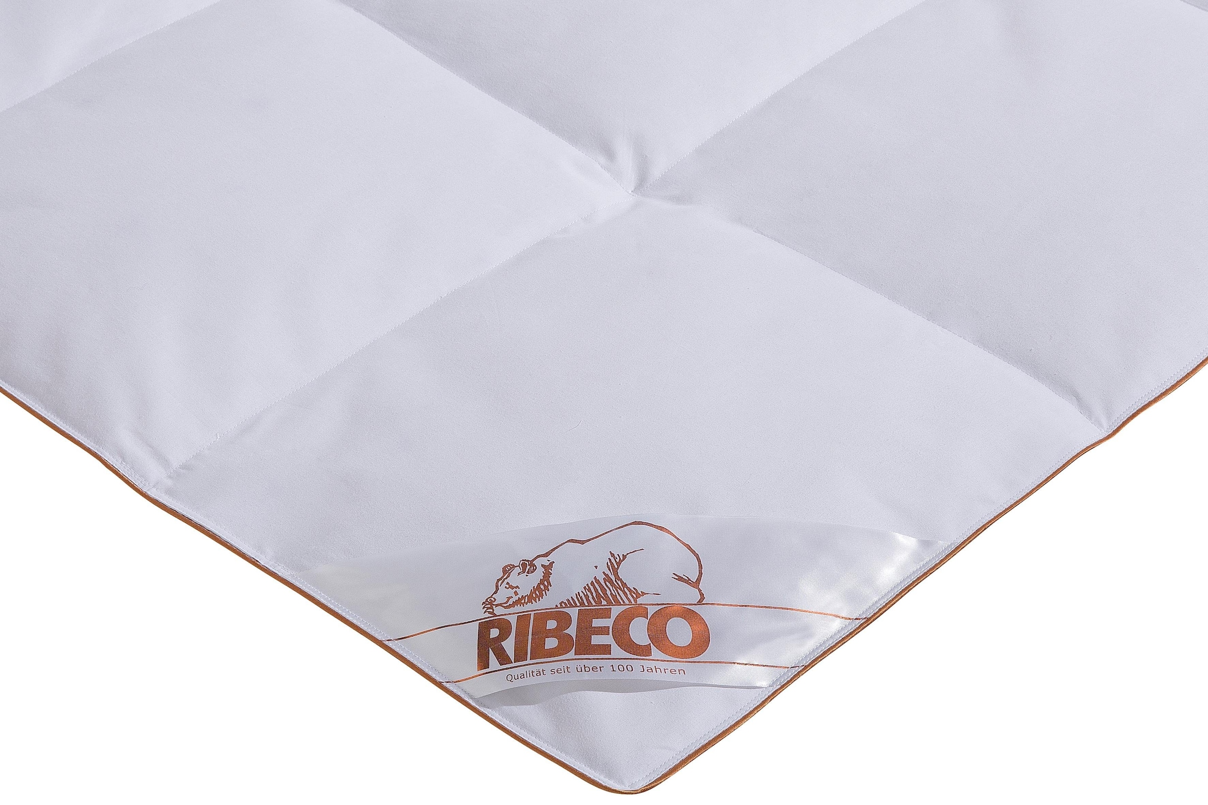 RIBECO Gänsedaunenbettdecke + Kopfkissen »Kalle«, pflegeleicht!