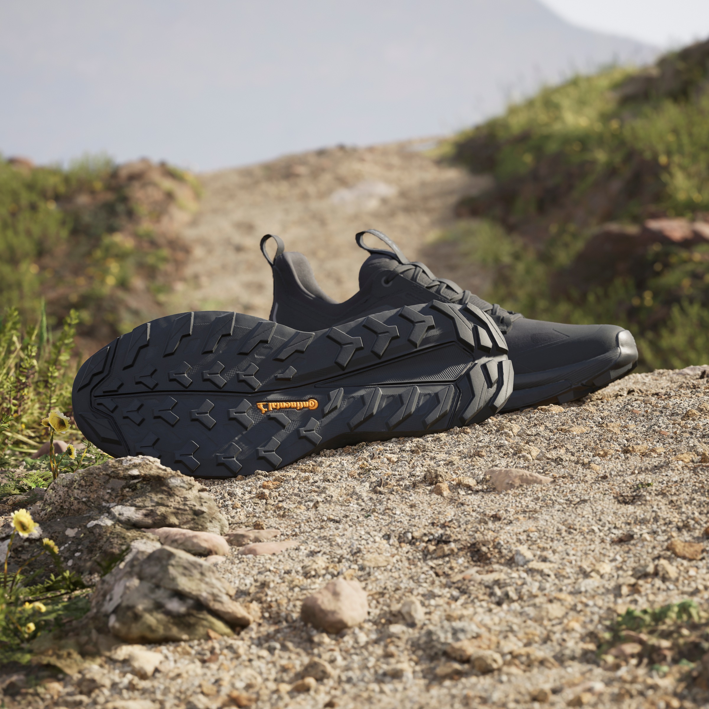 adidas TERREX Wanderschuh »TERREX FREE HIKER 2.0 LOW«