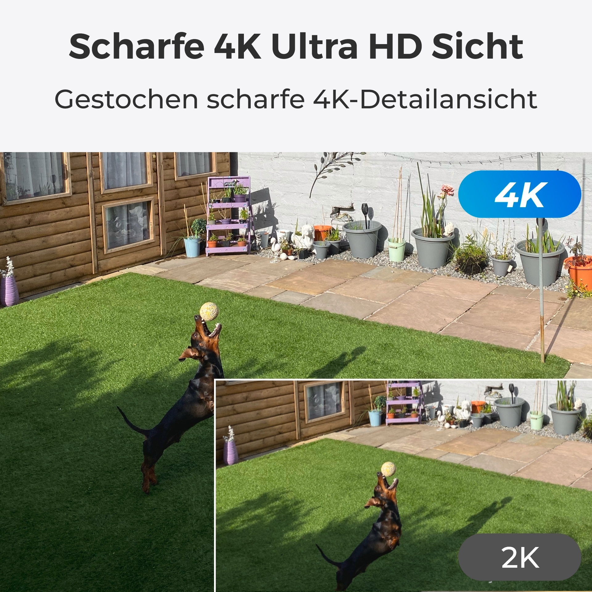 Reolink Überwachungskamera »NVS8-8MB4 - 4K UHD Sicherheitssystem, 8-Kanal NVR«, Außenbereich, 30m scharfe Nachtsicht, 24/7 Aufnahme, intelligente Erkennung