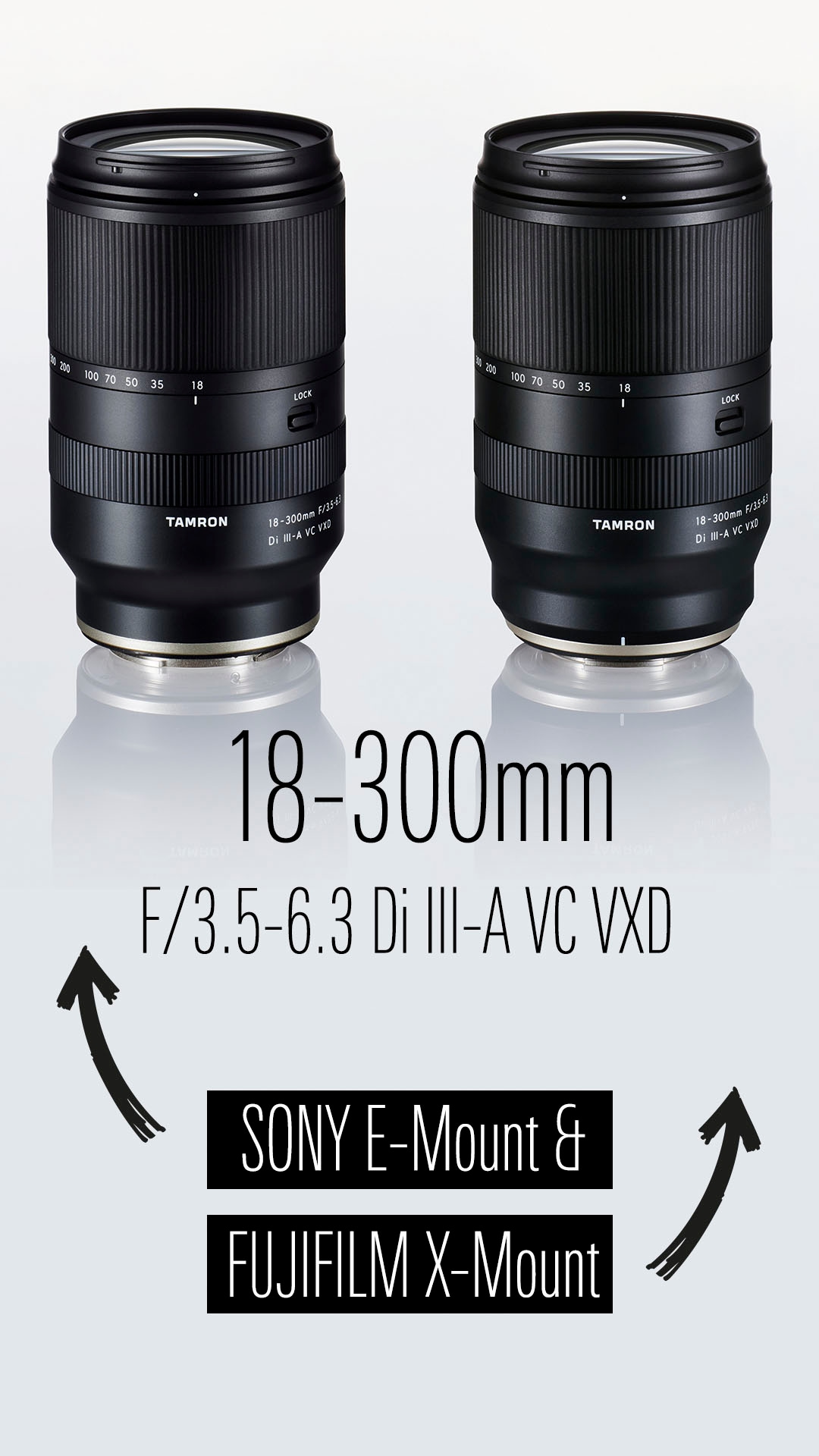 Tamron Objektiv »AF 18-300mm F/3.5-6.3 Di III-A VC VXD für Sony Alpha passendes«