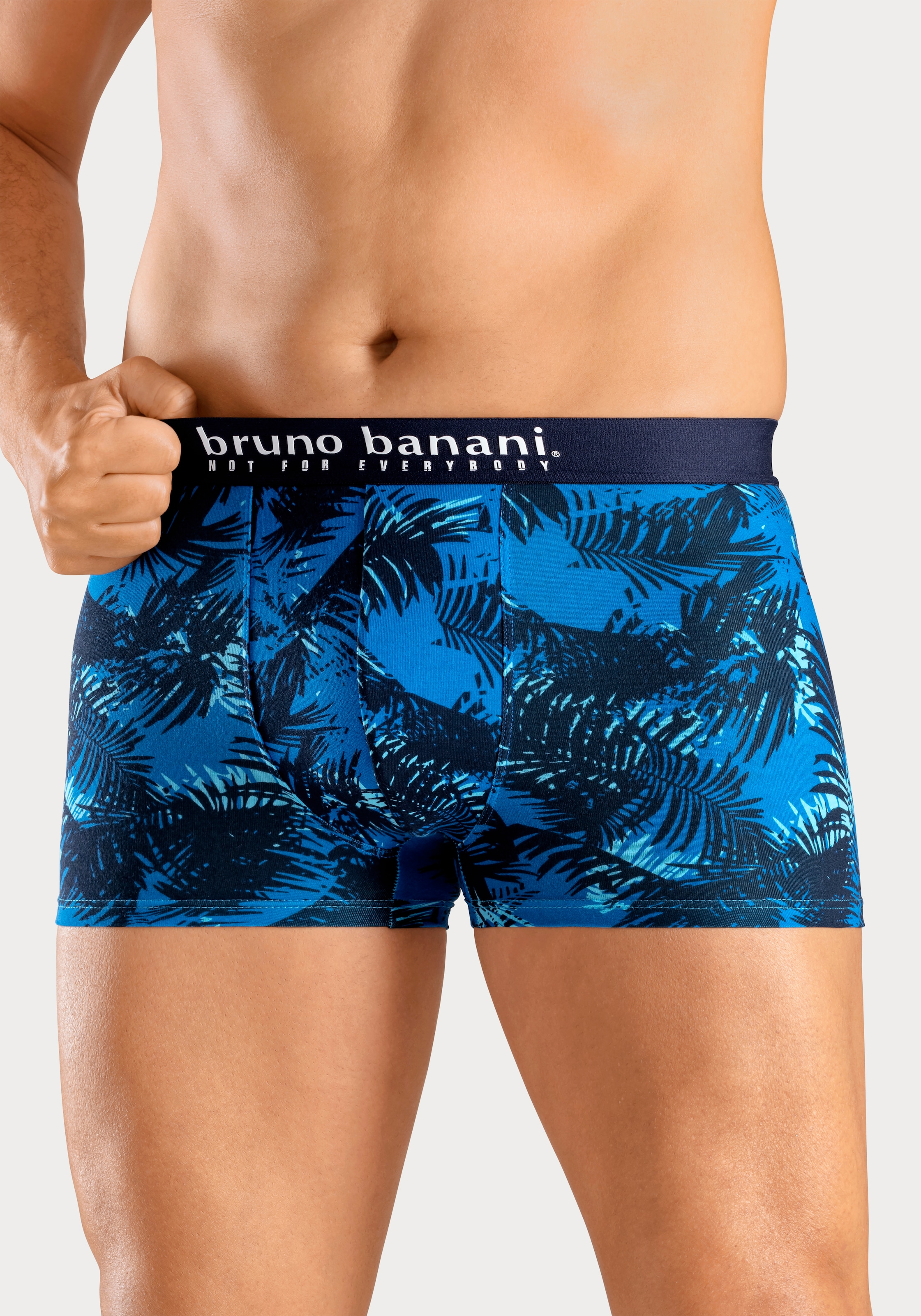 Bruno Banani Boxer »Boxershorts für Herren« Packung, 4er-Pack, 4 Stk. tlg., mit Palmendruck und unifarben aus Baumwollmischung