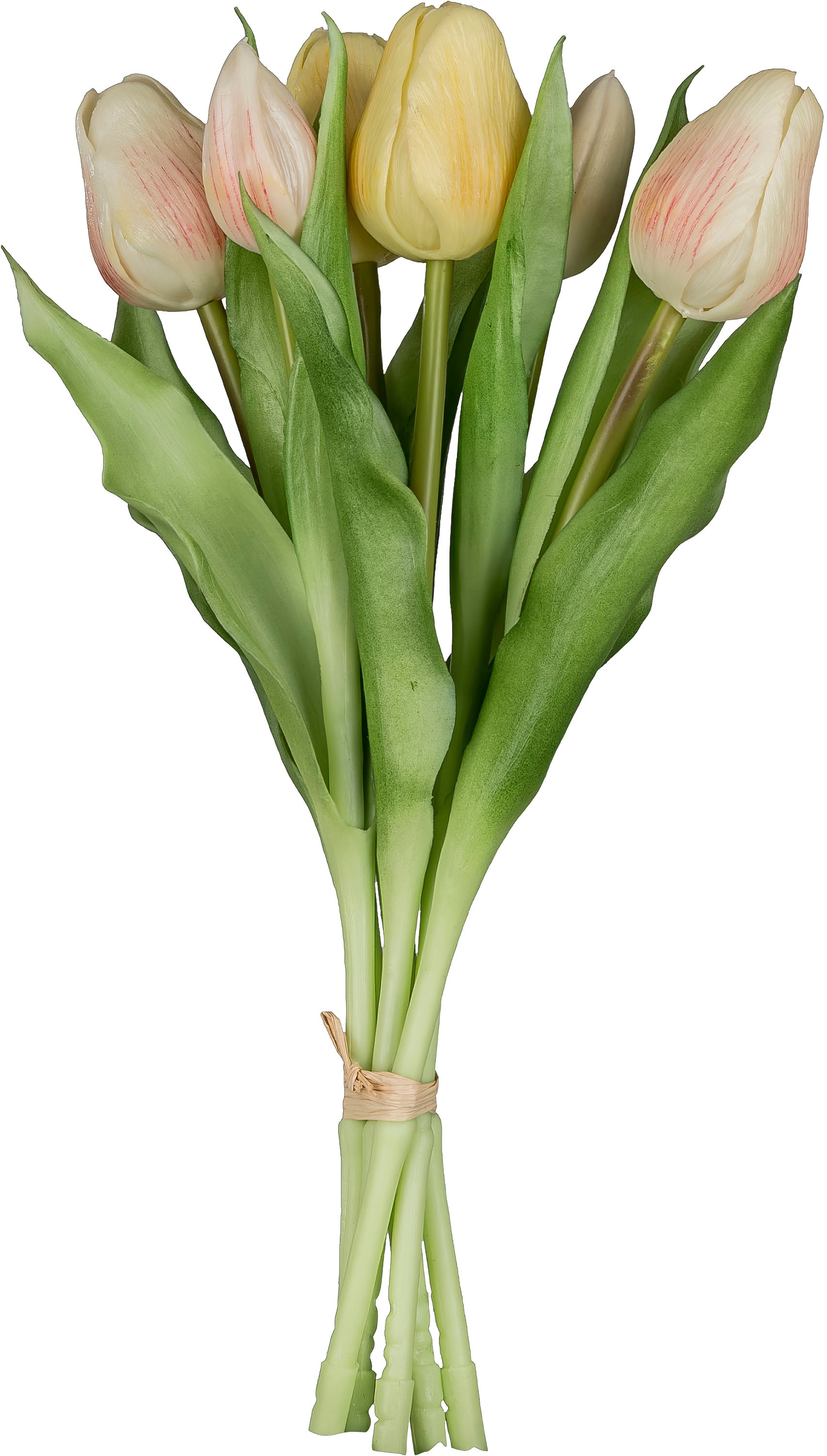 Creativ green Kunsttulpe »Tulpenbund« aus 6 Einzelstielen
