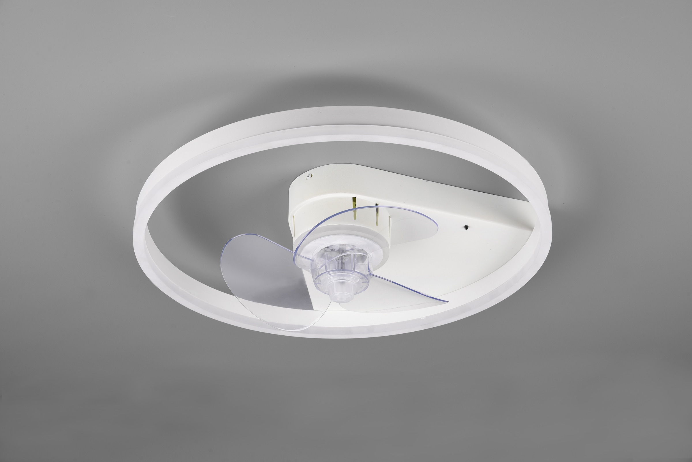 TRIO Leuchten LED Deckenleuchte Ventilator, »Borgholm«, einstellbar, und online Ventilator | mit Lichtfarbe getrennt kaufen mit 3 Leuchte Fernbedienung Garantie Timerfunktion. schaltbar XXL und Jahren Nachtlicht