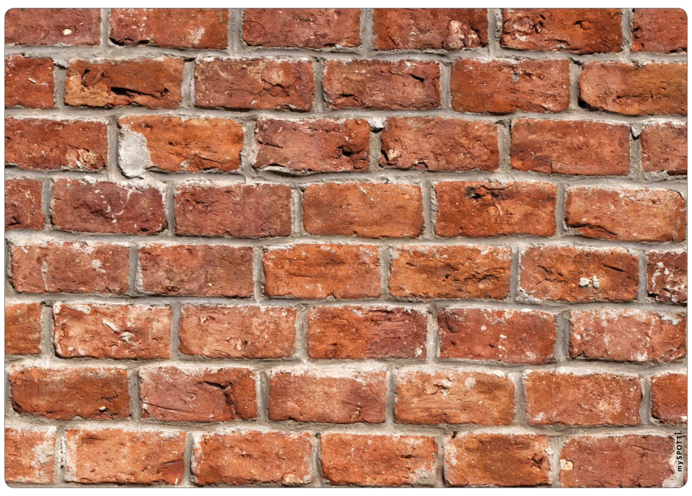 MySpotti Küchenrückwand »pop, Brickwall« kaufen