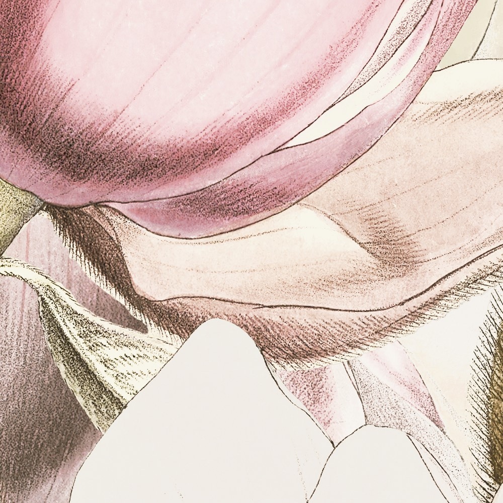 Komar Fototapete »Vlies Fototapete - Petals - Größe 350 x 250 cm« Motiv | bedruckt glatt