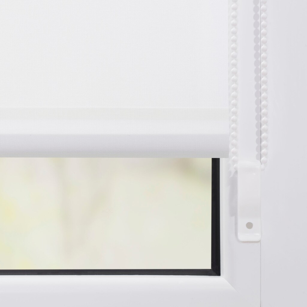 LICHTBLICK ORIGINAL Seitenzugrollo »Klemmfix Motiv Birkenwald«, Lichtschutz, ohne Bohren, freihängend