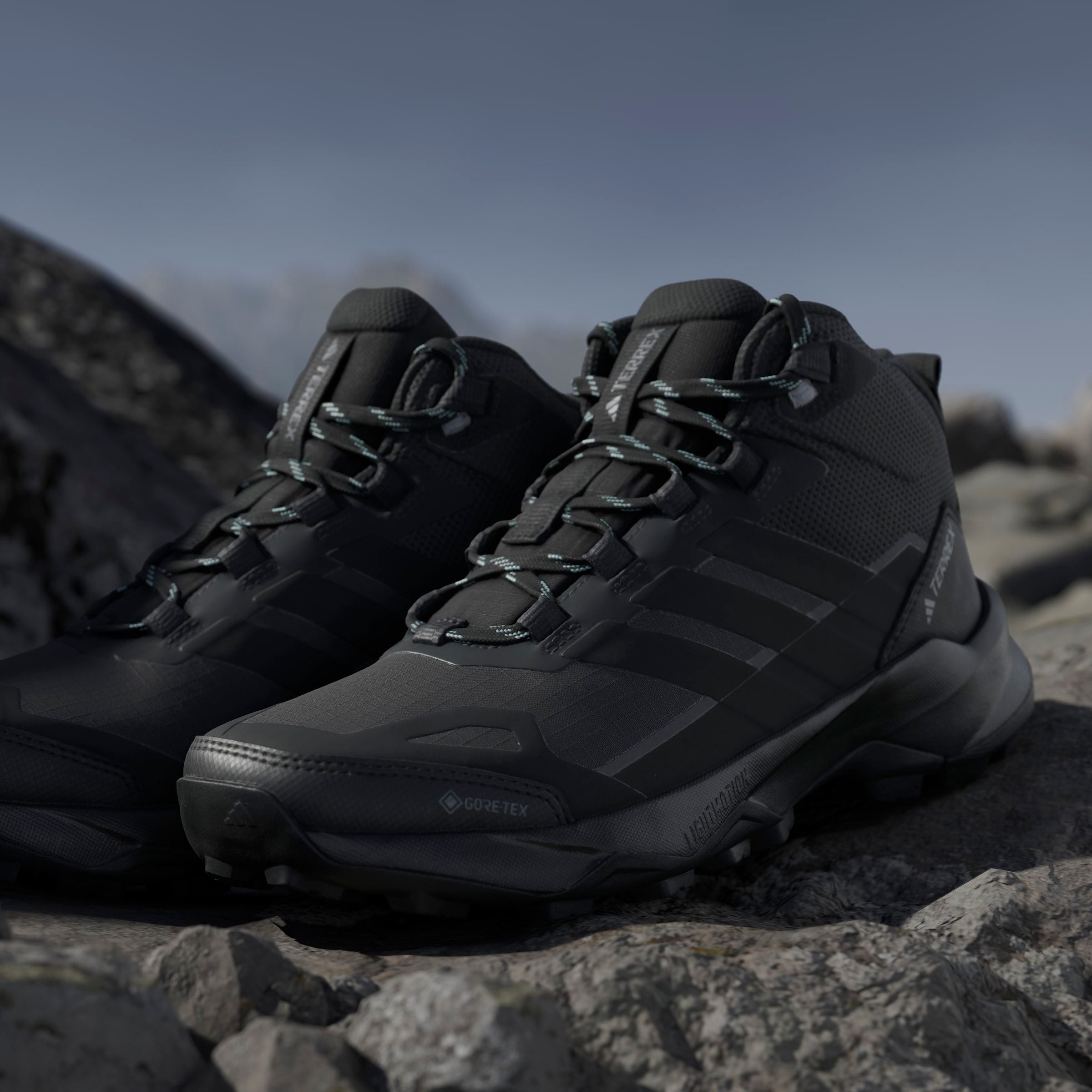 adidas TERREX Wanderschuh »TERREX SKYCHASER AX5 MID GORE-TEX«  wasserdicht
