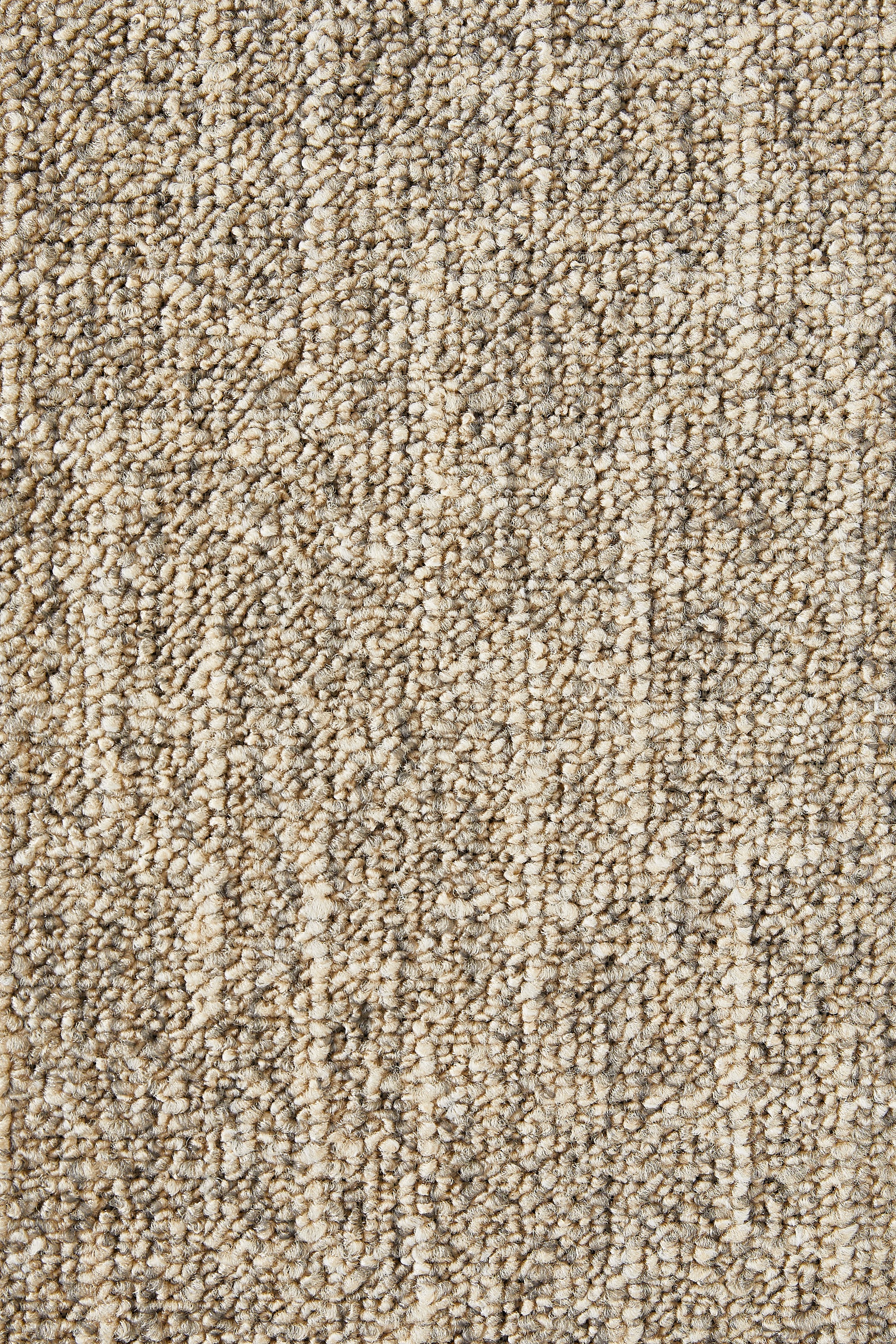 my home Teppichboden »Jamie, melierte Schlinge, Made in Netherlands«, rechteckig, 8 mm Höhe, Breite 400 cm, strapazierfähig, pflegeleicht, allergikerfreundlich