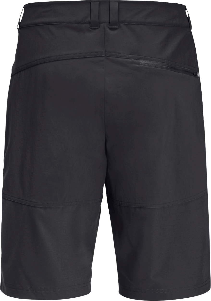 Jack Wolfskin Shorts »HIKING ALPINE SHORT M«