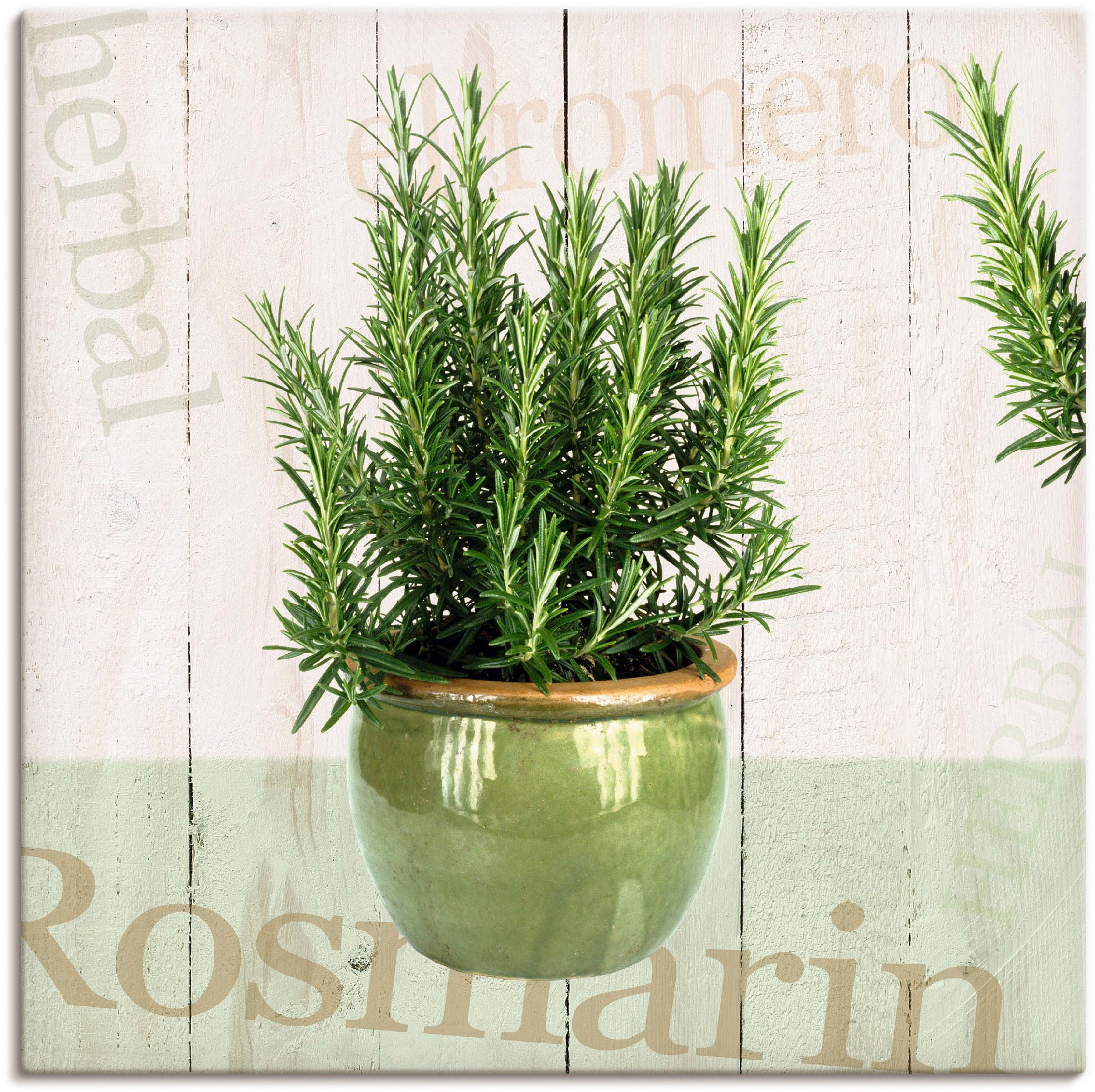 Artland Wandbild »Rosmarin«, Pflanzen, (1 St.), als Alubild, Outdoorbild, Leinwandbild, Poster in verschied. Größen