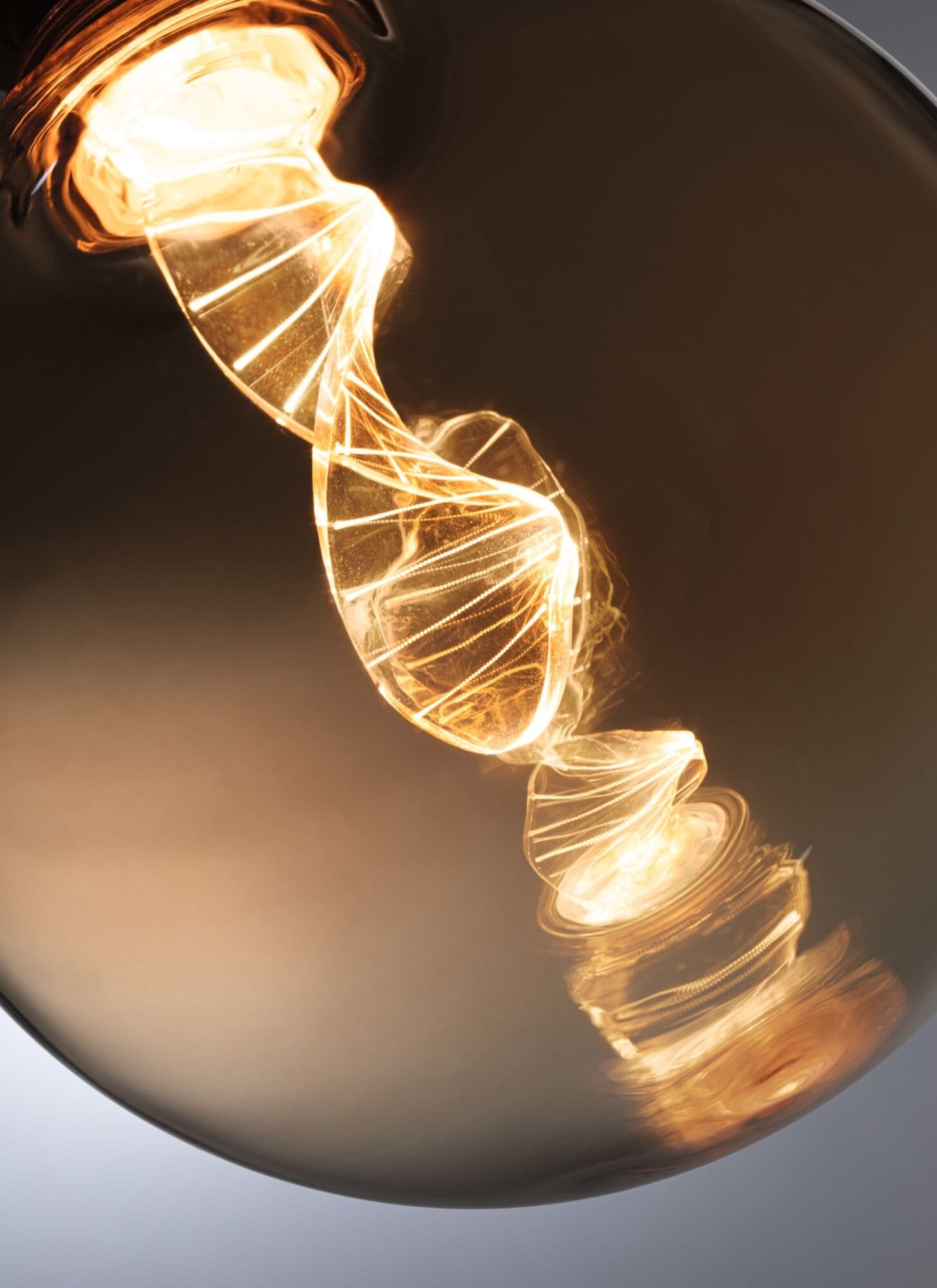 Paulmann LED-Leuchtmittel »G125 Inner Glow Helix 180lm gold 1800K«, 1 St.
