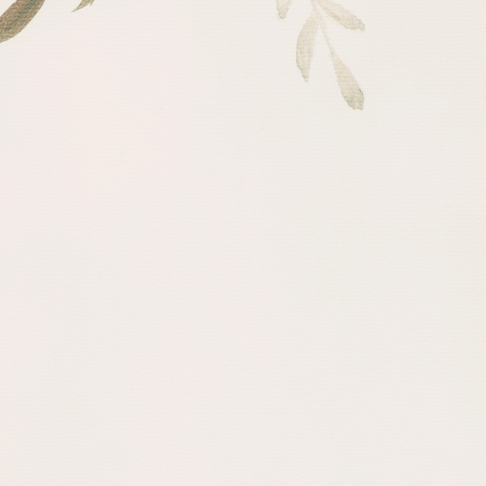 Komar Fototapete »Vlies Fototapete - Éventail de Couleurs - Größe 350 x 250 cm« Motiv | bedruckt glatt