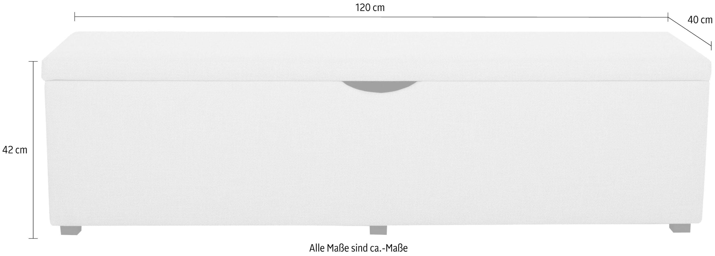 Home affaire Hockerbank »Standard« Breite 120cm oder 160cm, auch als Garderobenbank oder Bettbank