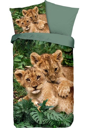 good morning Kinderbettwäsche »Lion cubs«, (2 tlg.), mit Löwenbaby kaufen