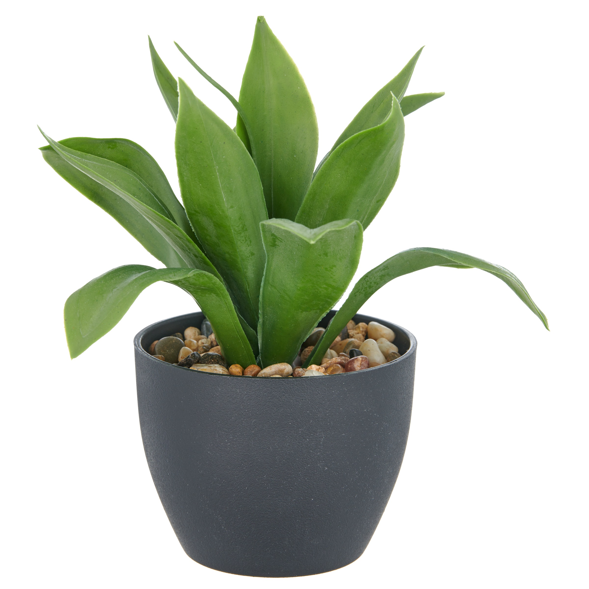 Creativ green Kunstpflanze »Sukkulenten« mit dekorativem Kies