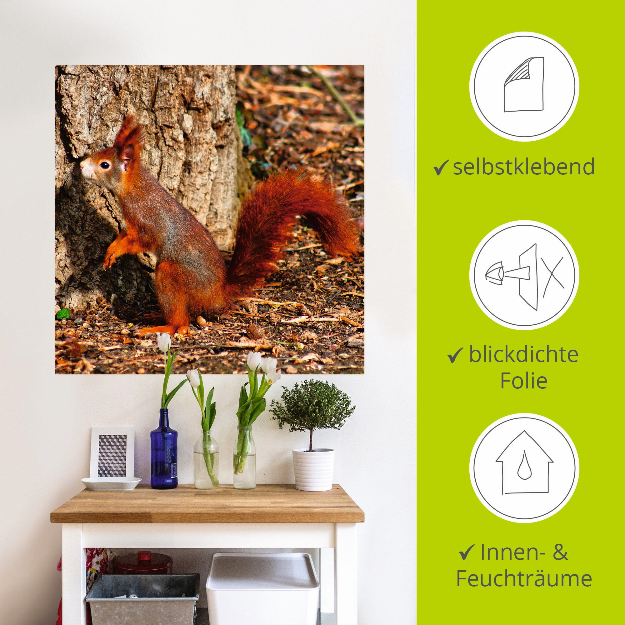 Artland Wandbild »Rotes Eichhörnchen will hoch hinaus«, Wildtiere, (1 St.), als Poster, Wandaufkleber in verschied. Größen