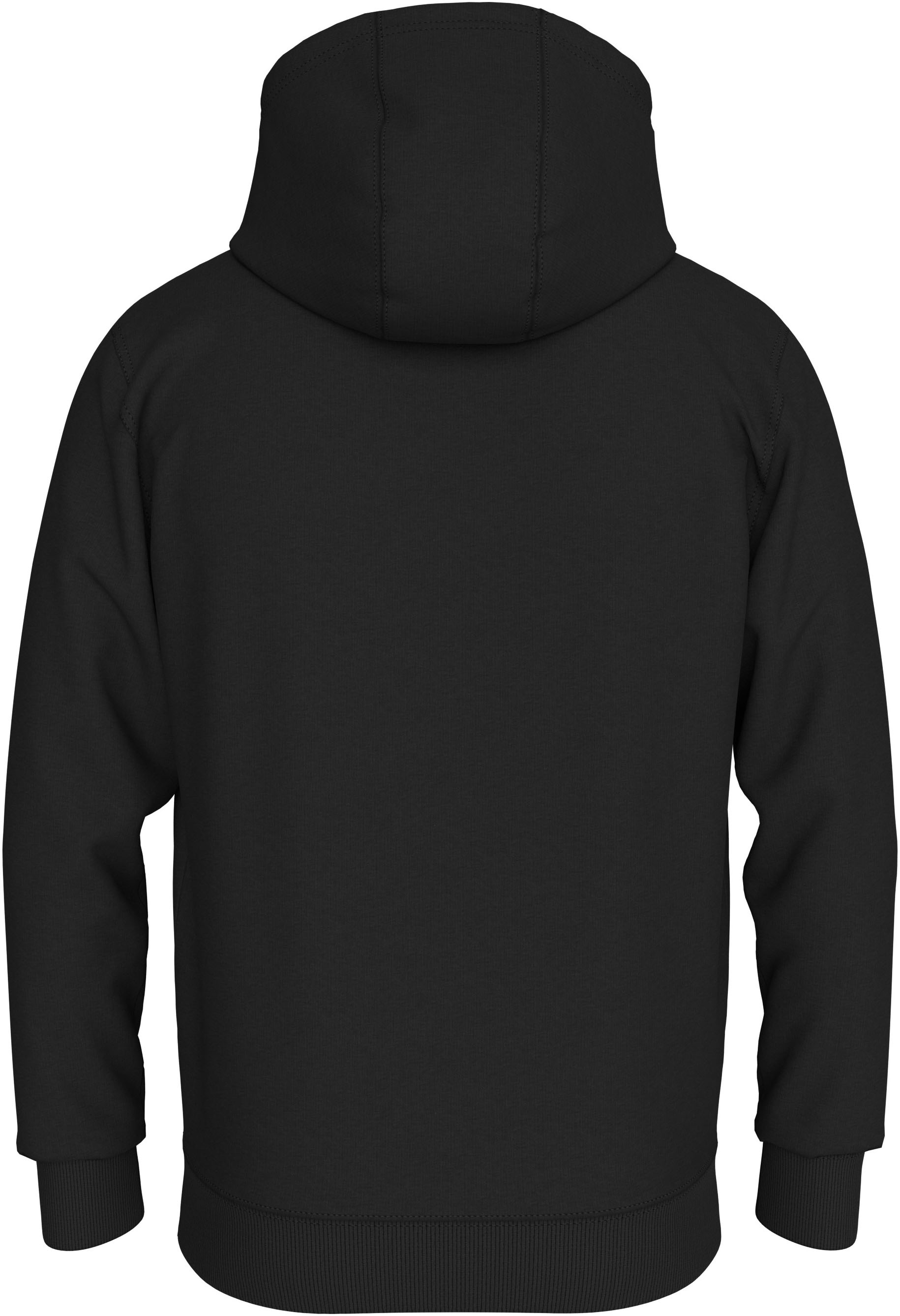 Tommy Jeans Plus Kapuzensweatshirt »TJM REG LINEAR LOGO HOODIE EXT«, hoher Tragekomfort, Große Größen