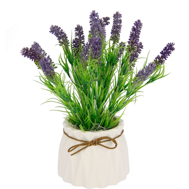 I.GE.A. Kunstpflanze »Lavendel«, Im Keramiktopf online kaufen | mit 3  Jahren XXL Garantie