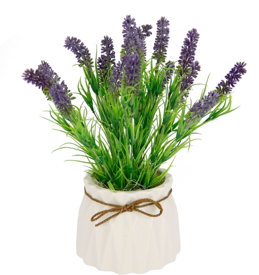 Botanic-Haus Künstliche Zimmerpflanze »Lavendel - auf Korb« bestellen Arrangement Raten Erika im