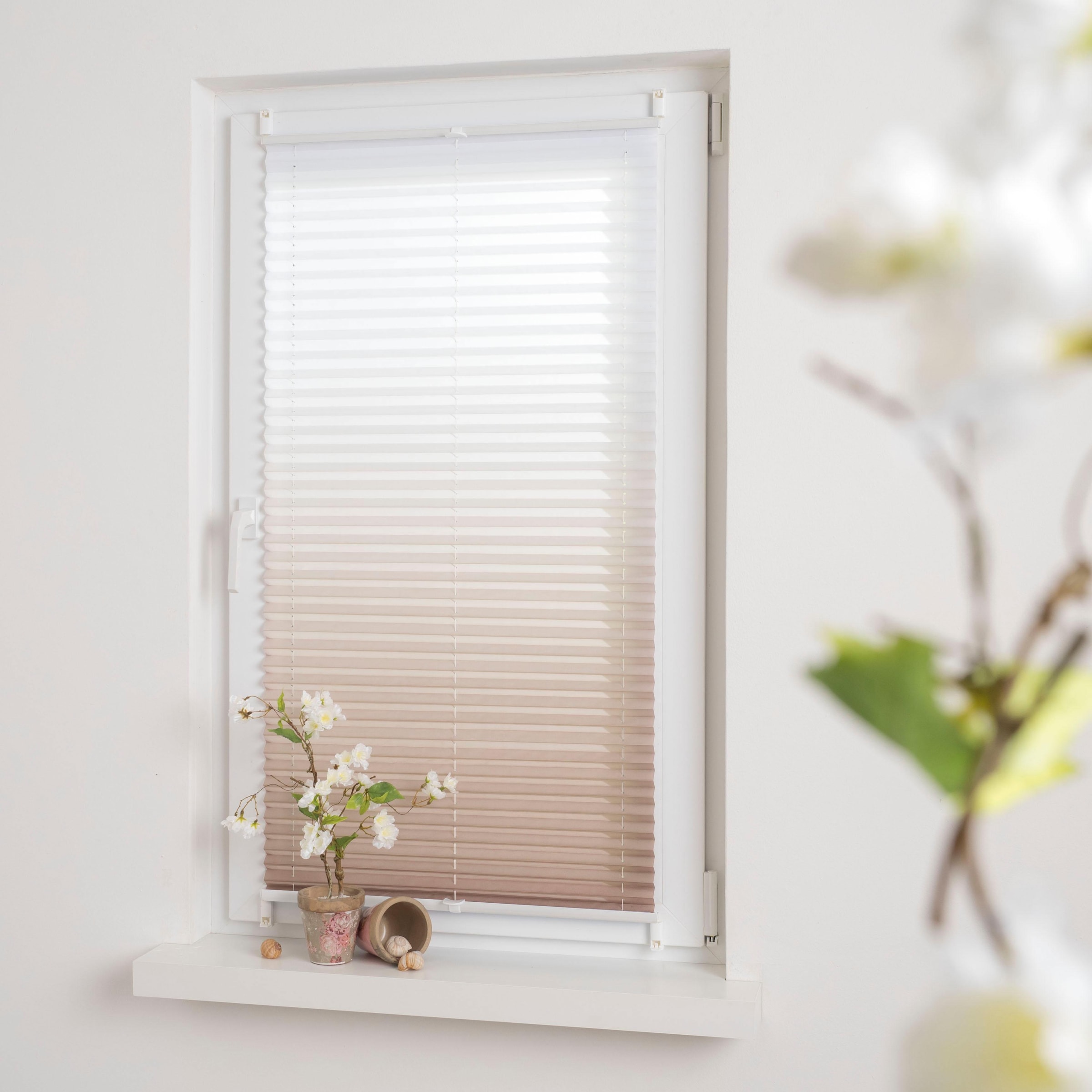 Liedeco Plissee »Farbverlauf« Lichtschutz ohne Bohren verspannt