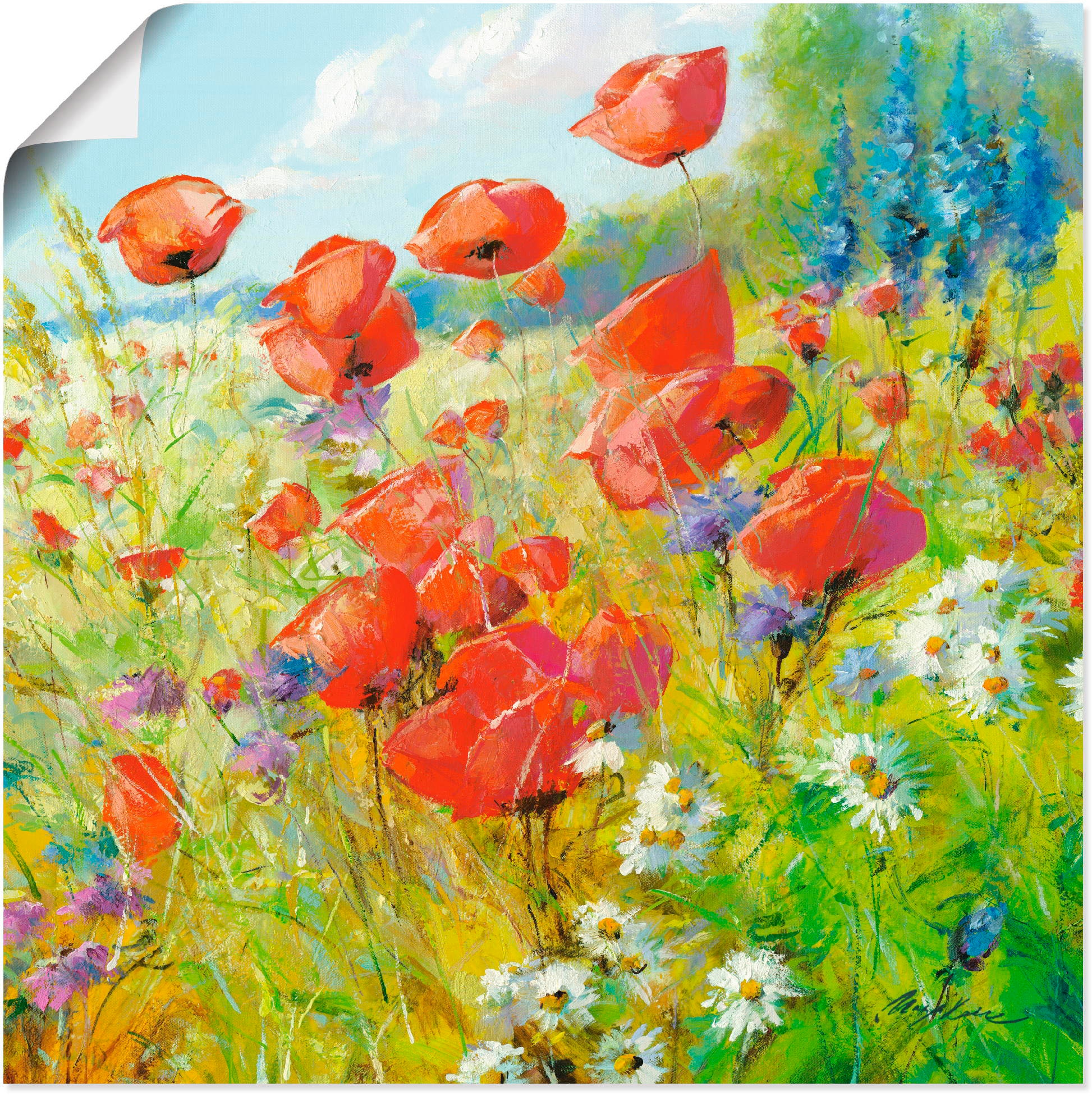 Artland Wandbild »Sommerwiese mit Mohnblumen«, in (1 Größen St.), Wandaufkleber Blumenwiese, Raten kaufen als auf oder Poster Leinwandbild, Alubild, versch