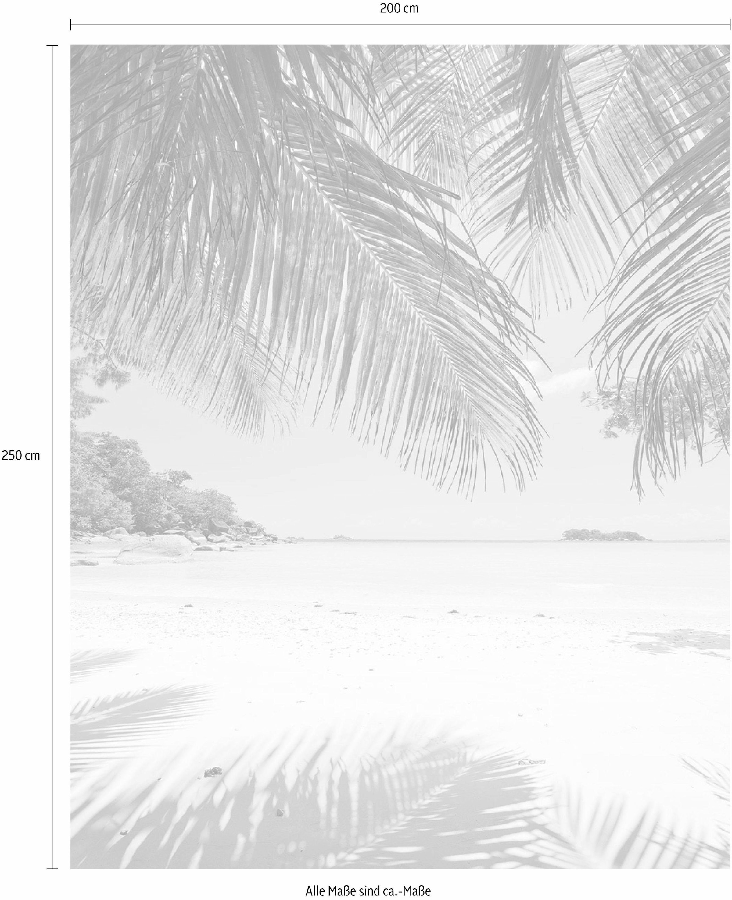 Komar Vliestapete »Under The Garantie 100 Vliestapete, Palmtree«, kaufen mit online 200x250 Bahnbreite 3 | XXL cm cm Höhe), Jahren x (Breite