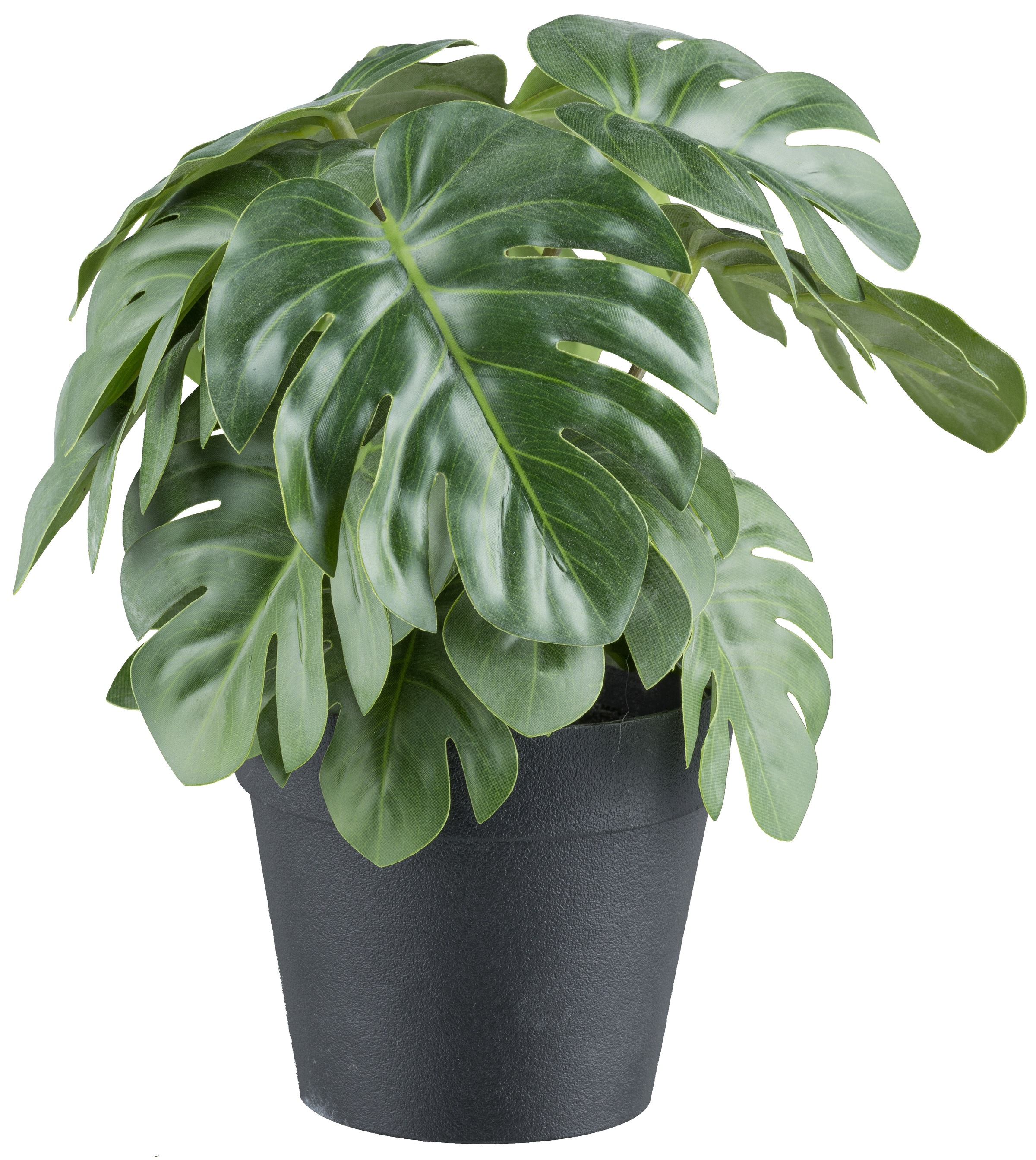 Creativ green Kunstpflanze »Grünpflanzen« mit verschiedenen Ausführungen im Set