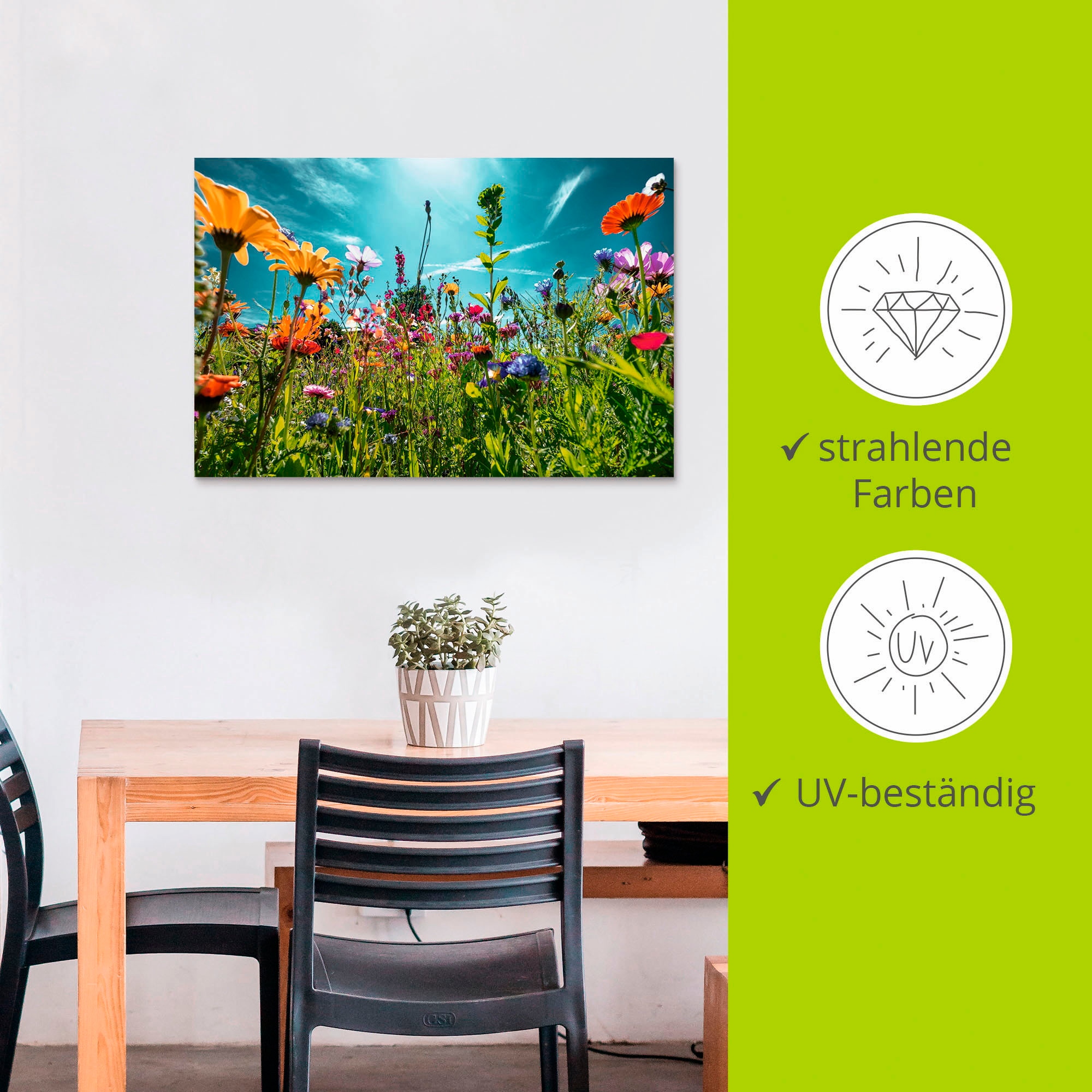 Artland Wandbild »Buntes Blumenfeld«, Blumenwiese, (1 St.), als Alubild, Outdoorbild, Leinwandbild, Poster, Wandaufkleber