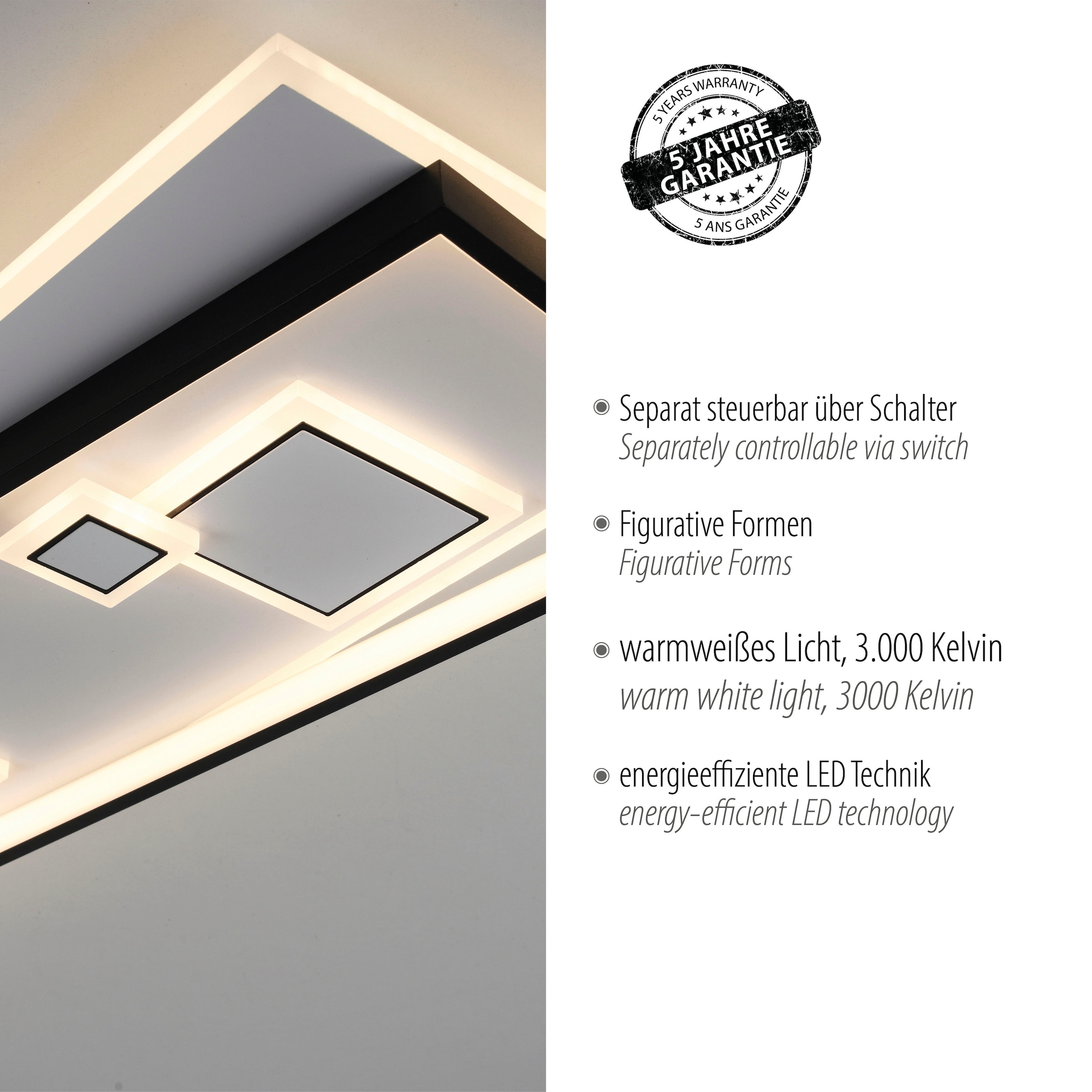 Paul Neuhaus Deckenleuchte »MAILAK«, 2 flammig, Leuchtmittel LED-Board-LED-Board | LED fest integriert-LED fest integriert, LED, separat steuerbar (Schalter)
