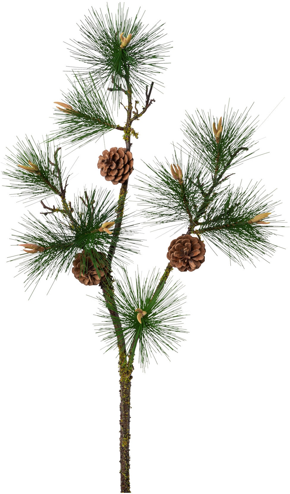 Creativ green Winterliche Kunstpflanze »Weihnachtsdeko«, Zweig mit Zapfen