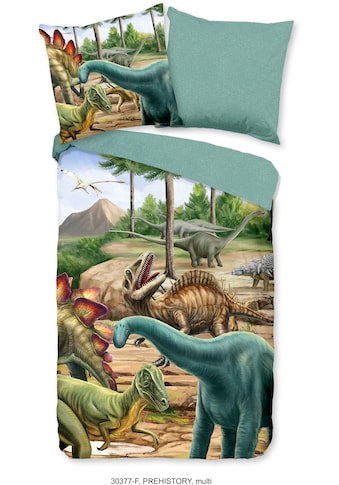 Kinderbettwäsche »Prehistory Dinos«, (2 tlg.)