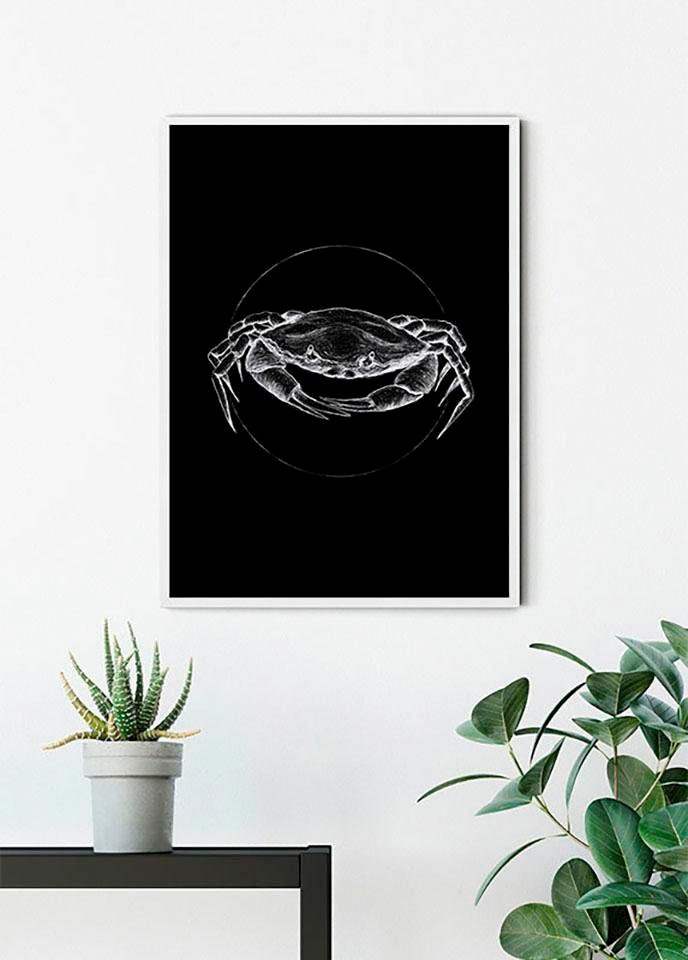Komar Bild »Crab Black« Tiere 1 Stk. tlg. Wandbild zur Dekoration - ohne Rahmen