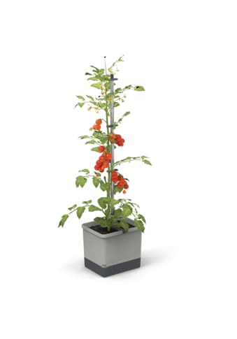 Gusta Garden Pflanzkübel »Tom Tomato« kaufen